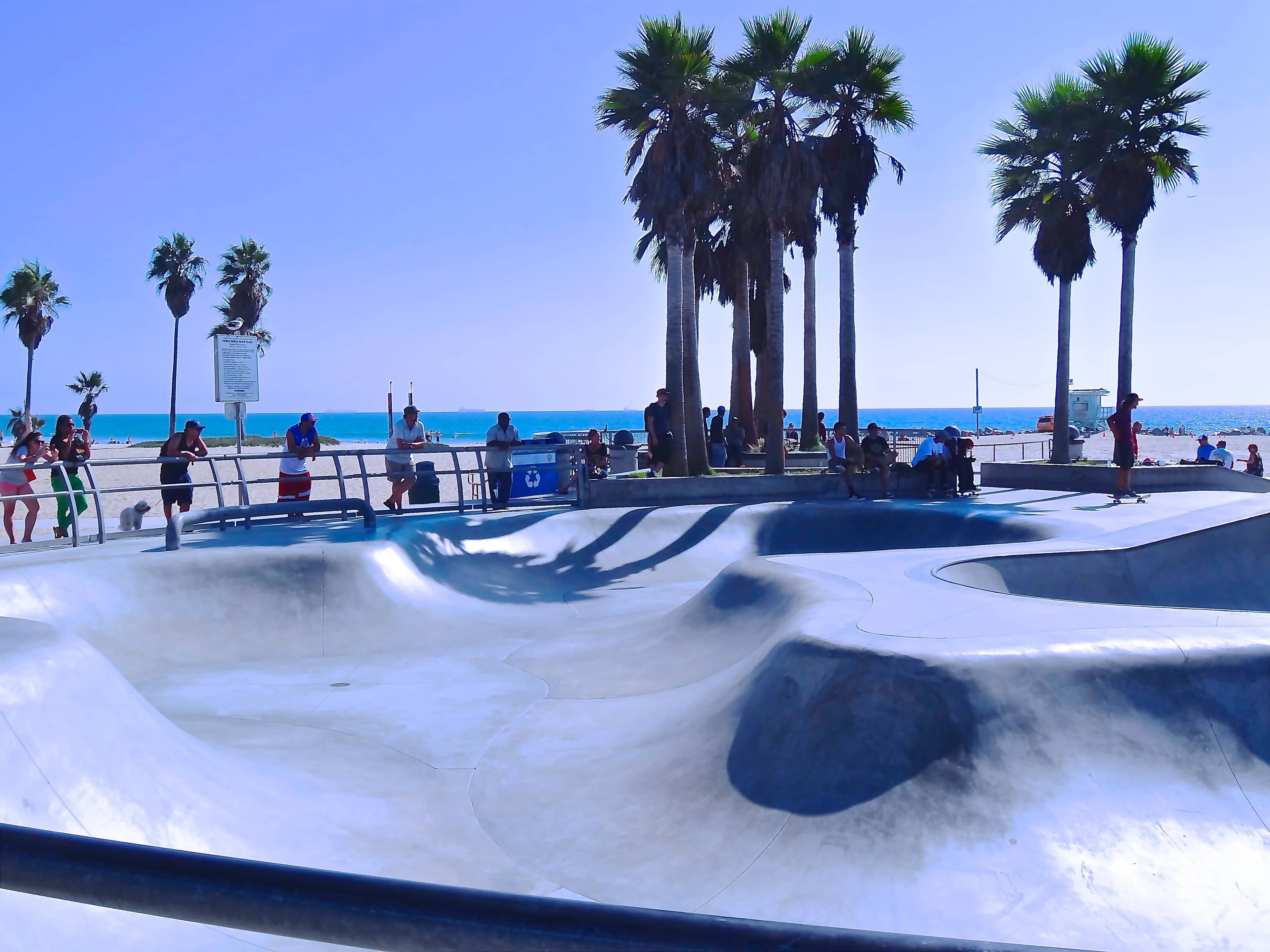 Venice Skatepark