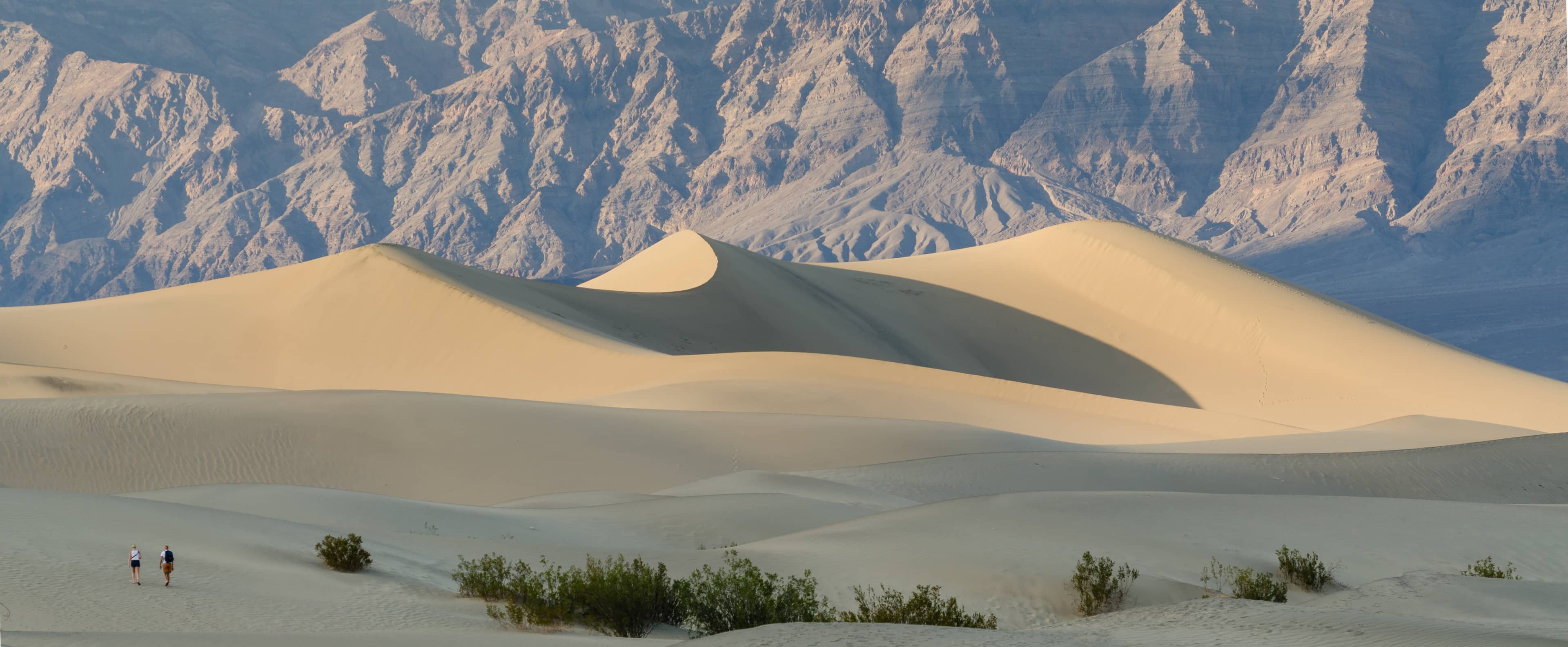 Mesquite Flat Sand Dunes