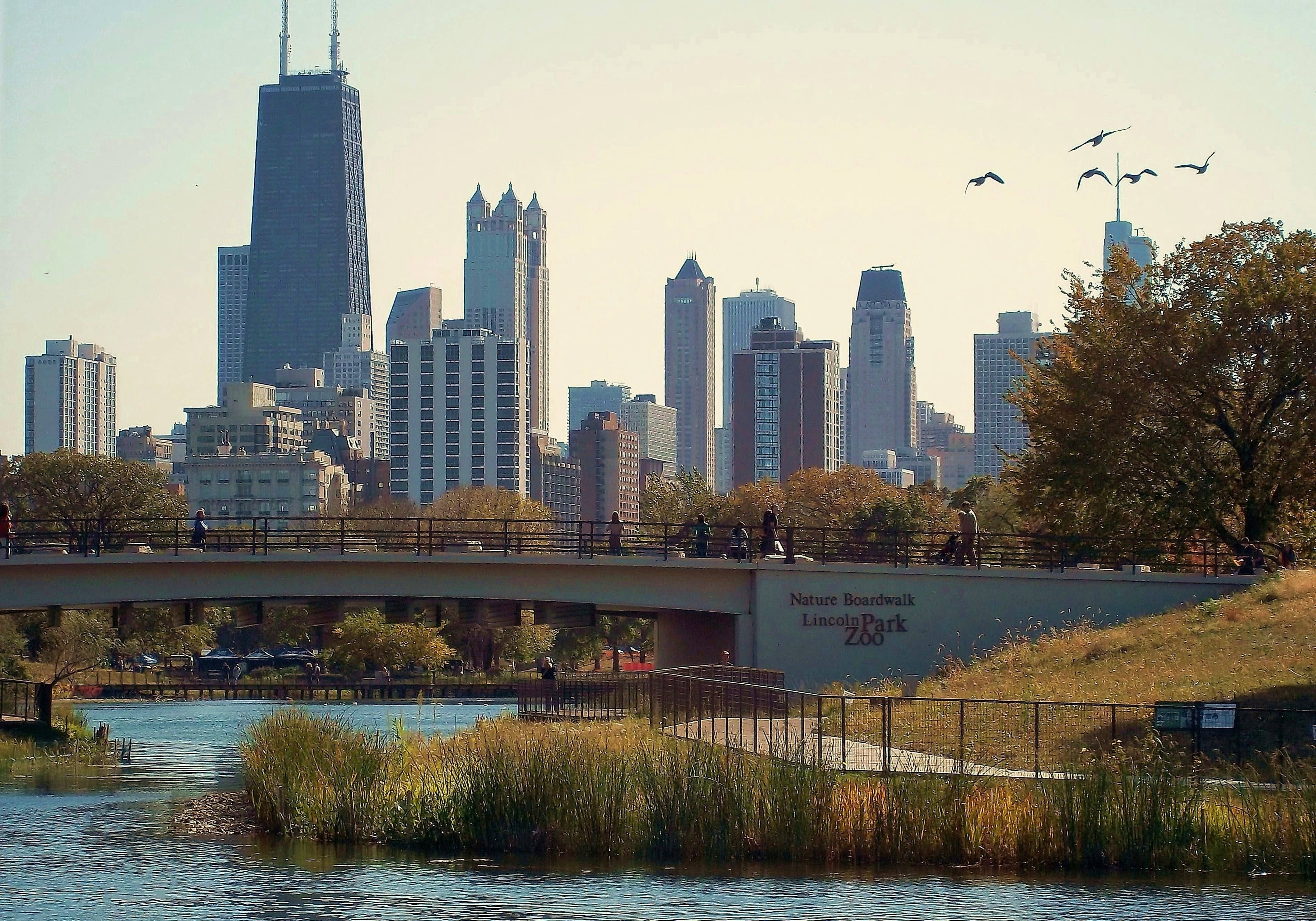 Nature Boardwalk