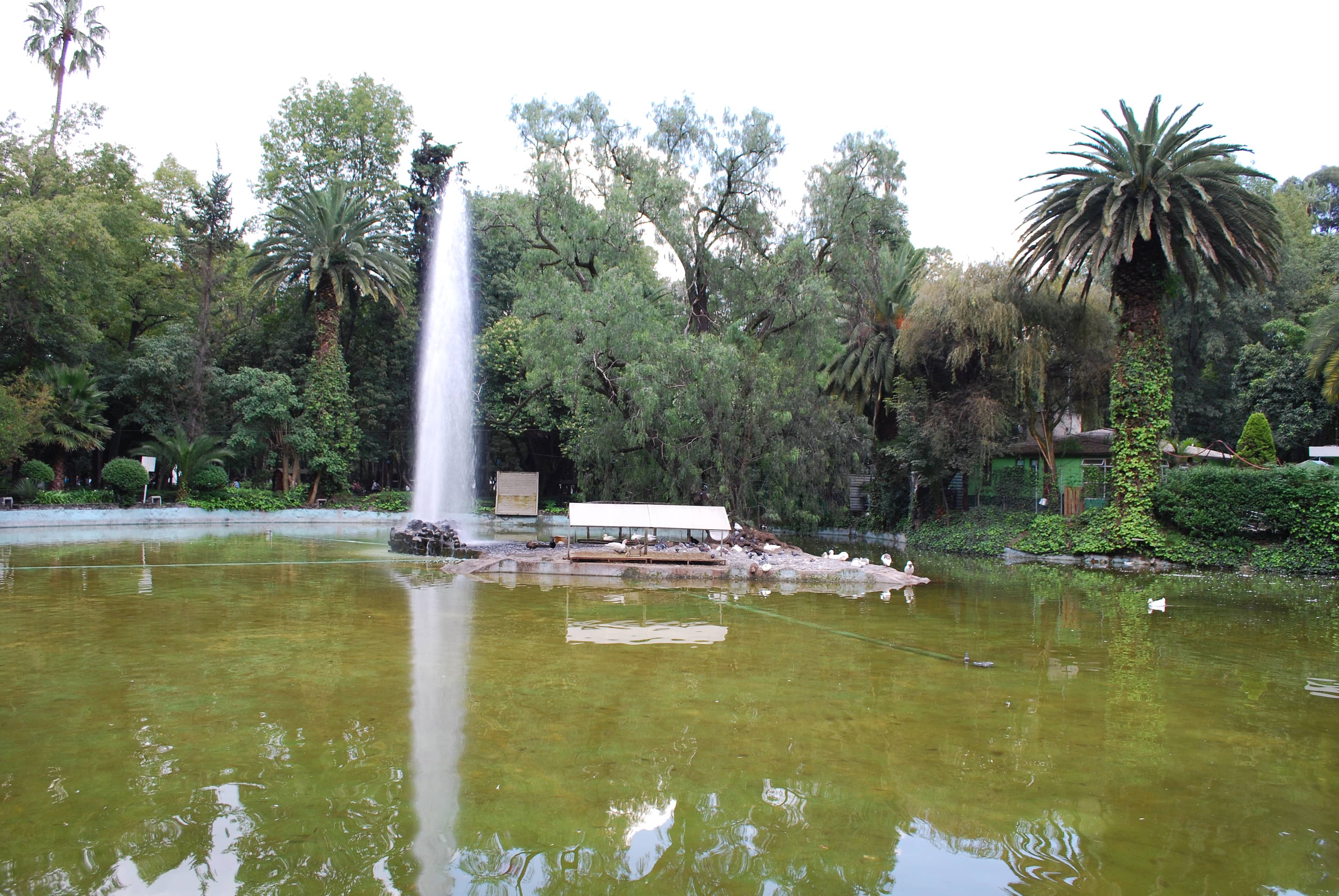 Lush Greenery and Ponds