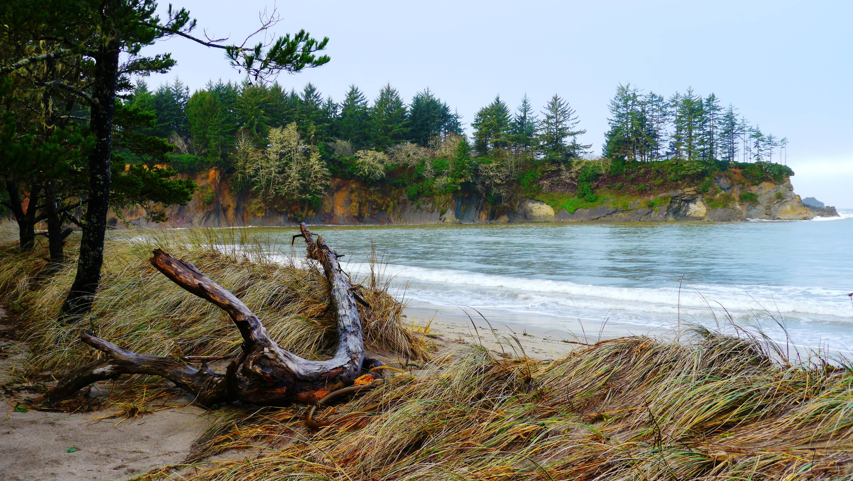 Panoramic Bay Views