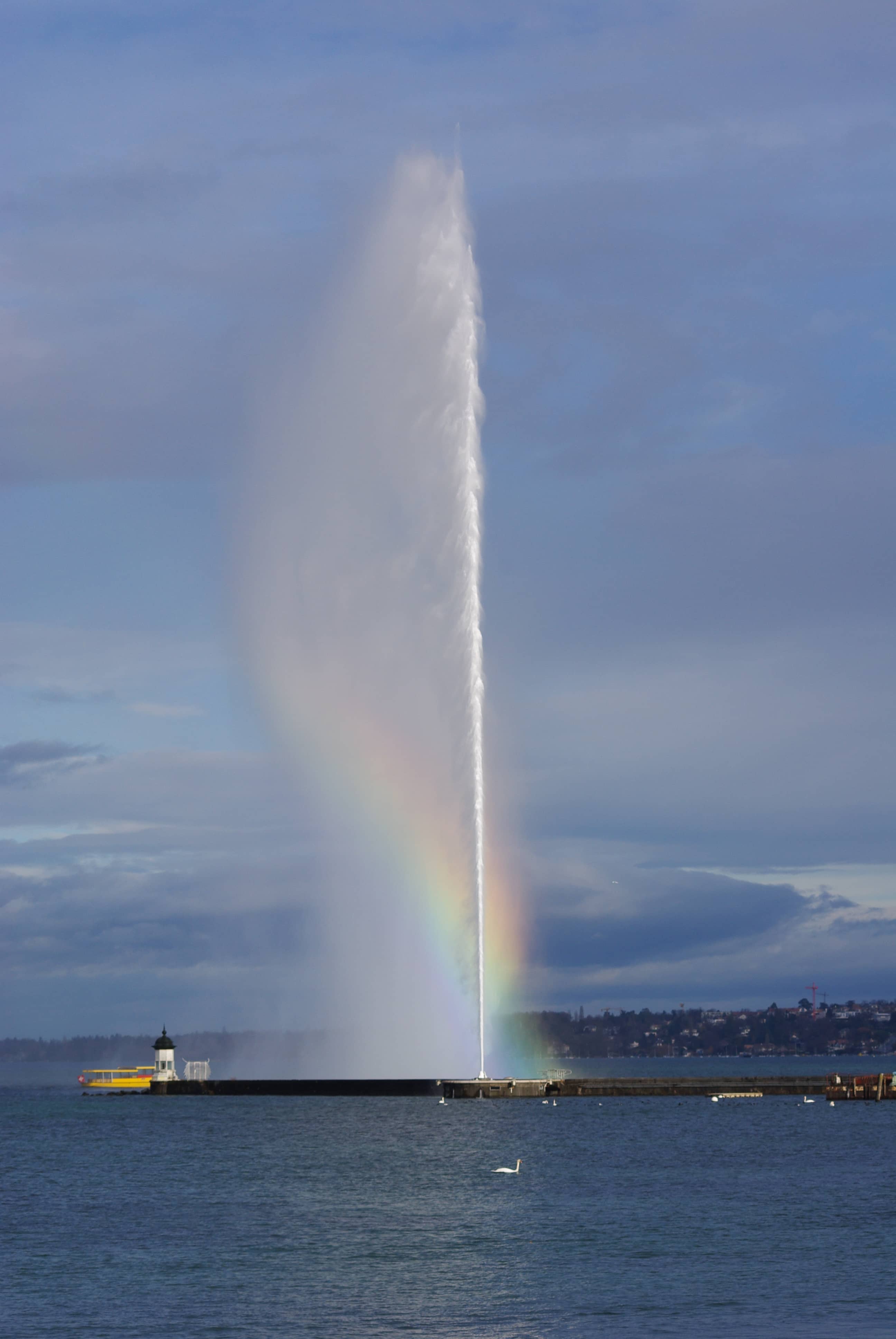 Rainbows in the Mist