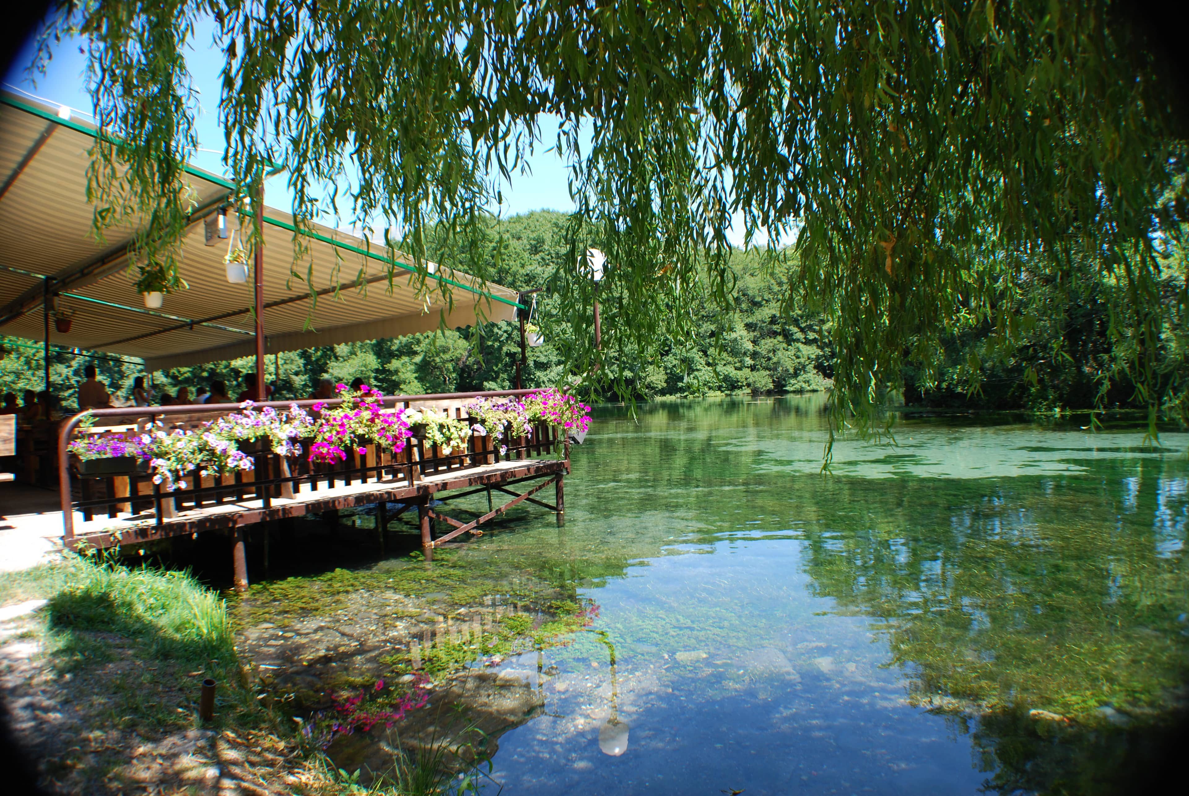 Saint Naum Springs
