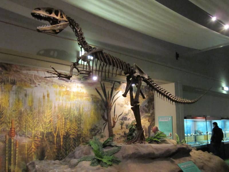 World Museum