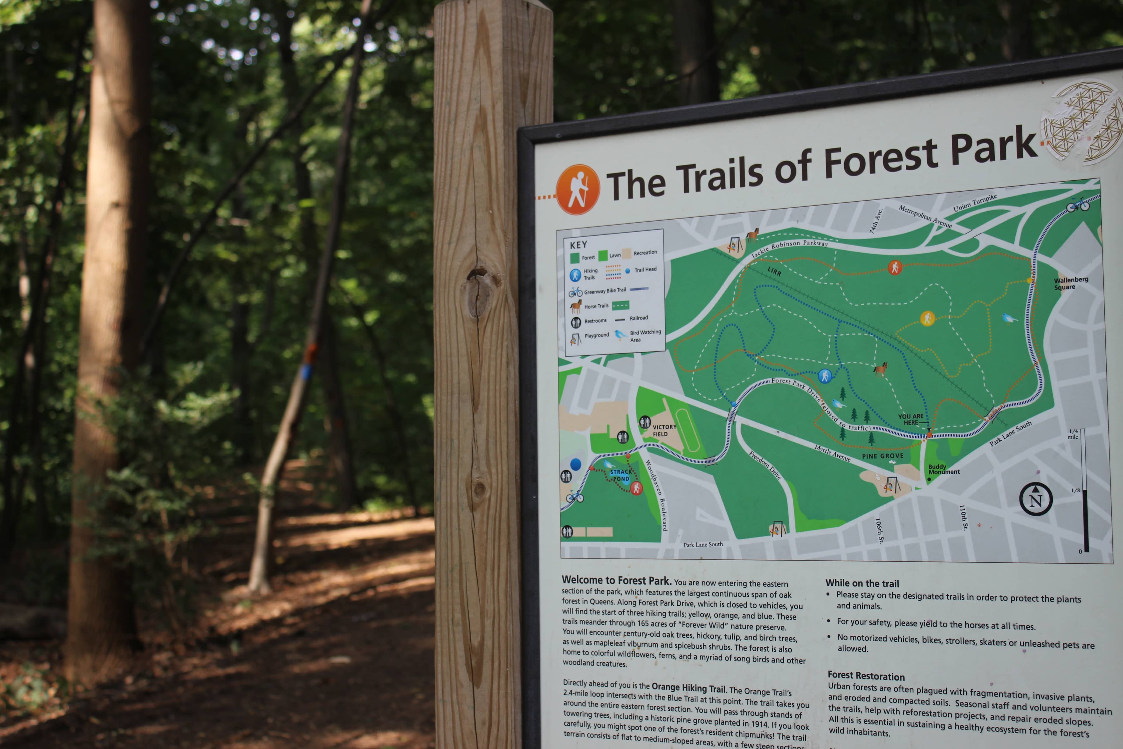 Hiking Trails