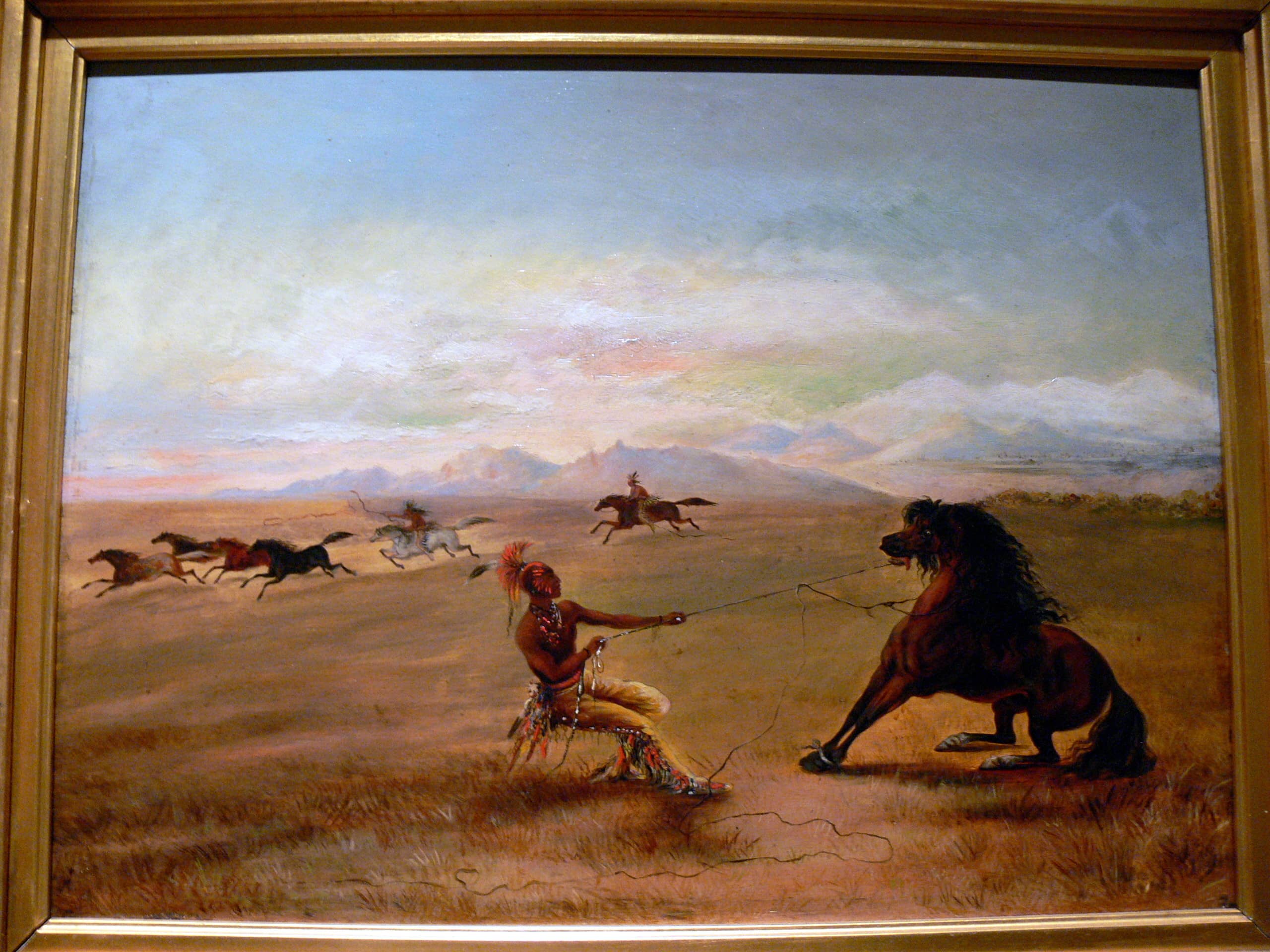 Native American Art & Artifacts