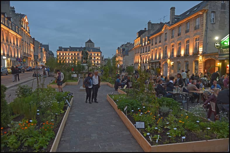 Evening Ambiance
