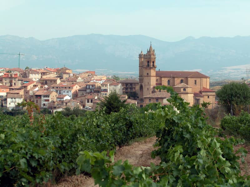 Charming Elciego Village