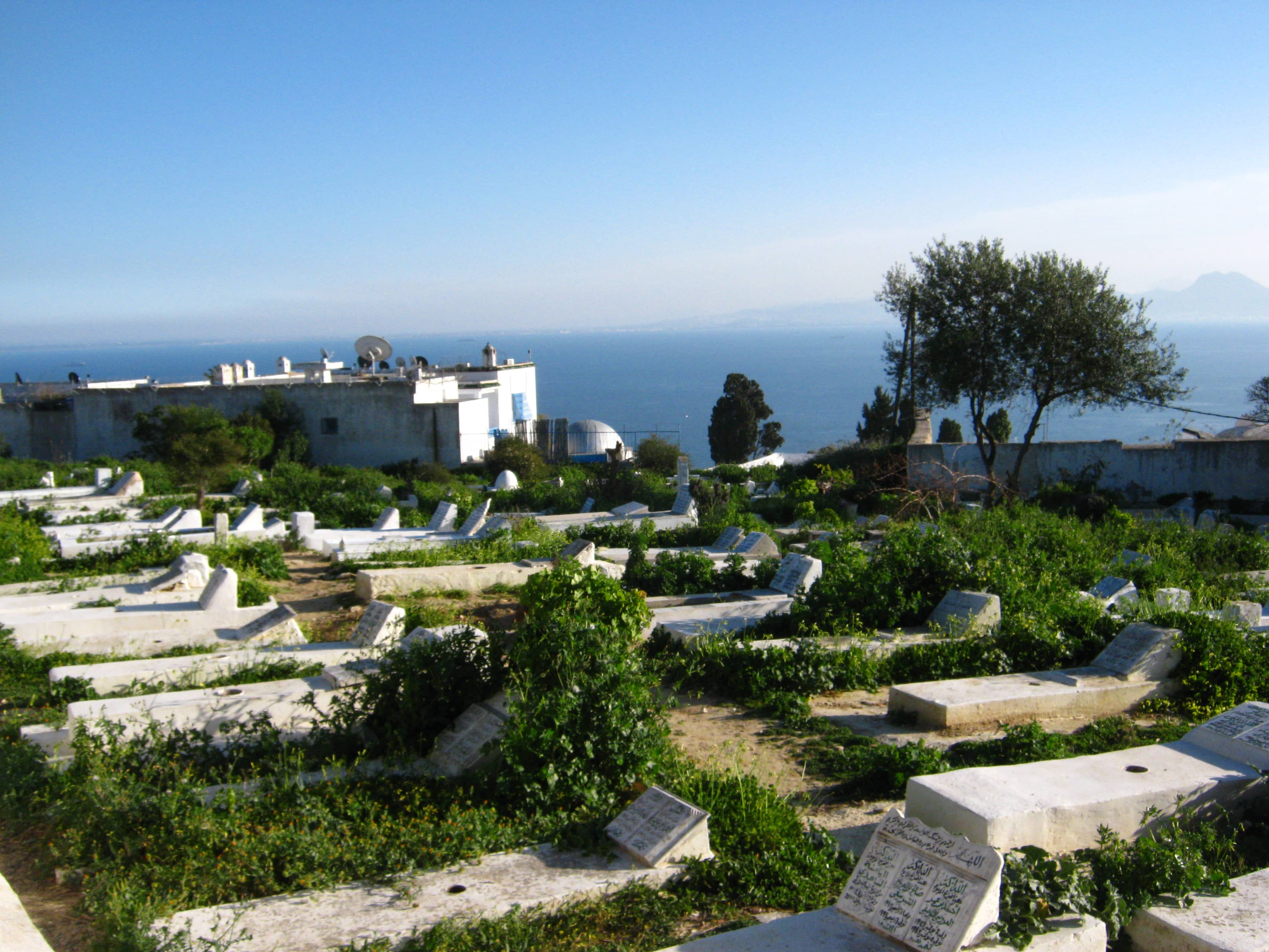 Cliffside Scenery
