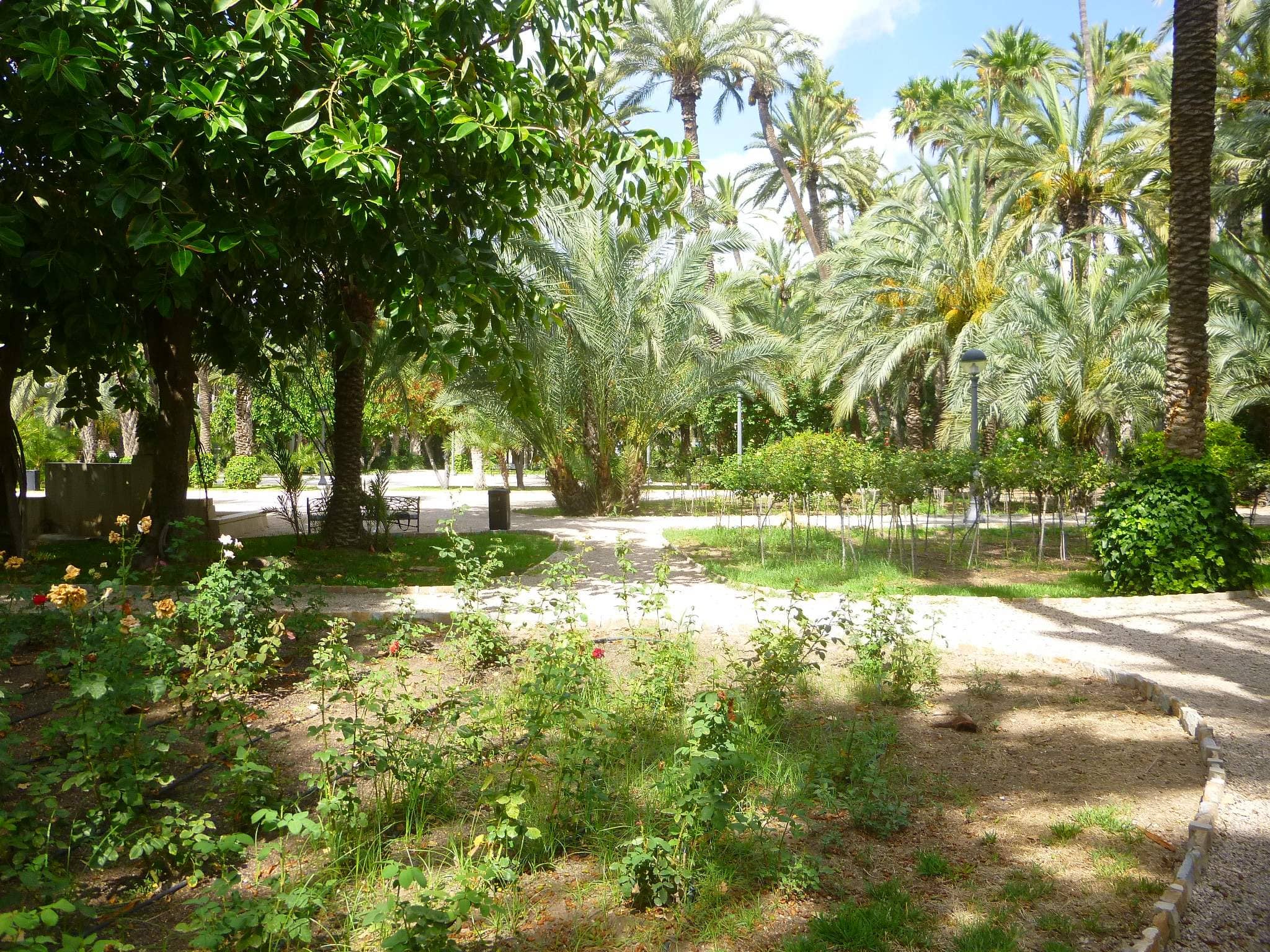 Shaded Avenues