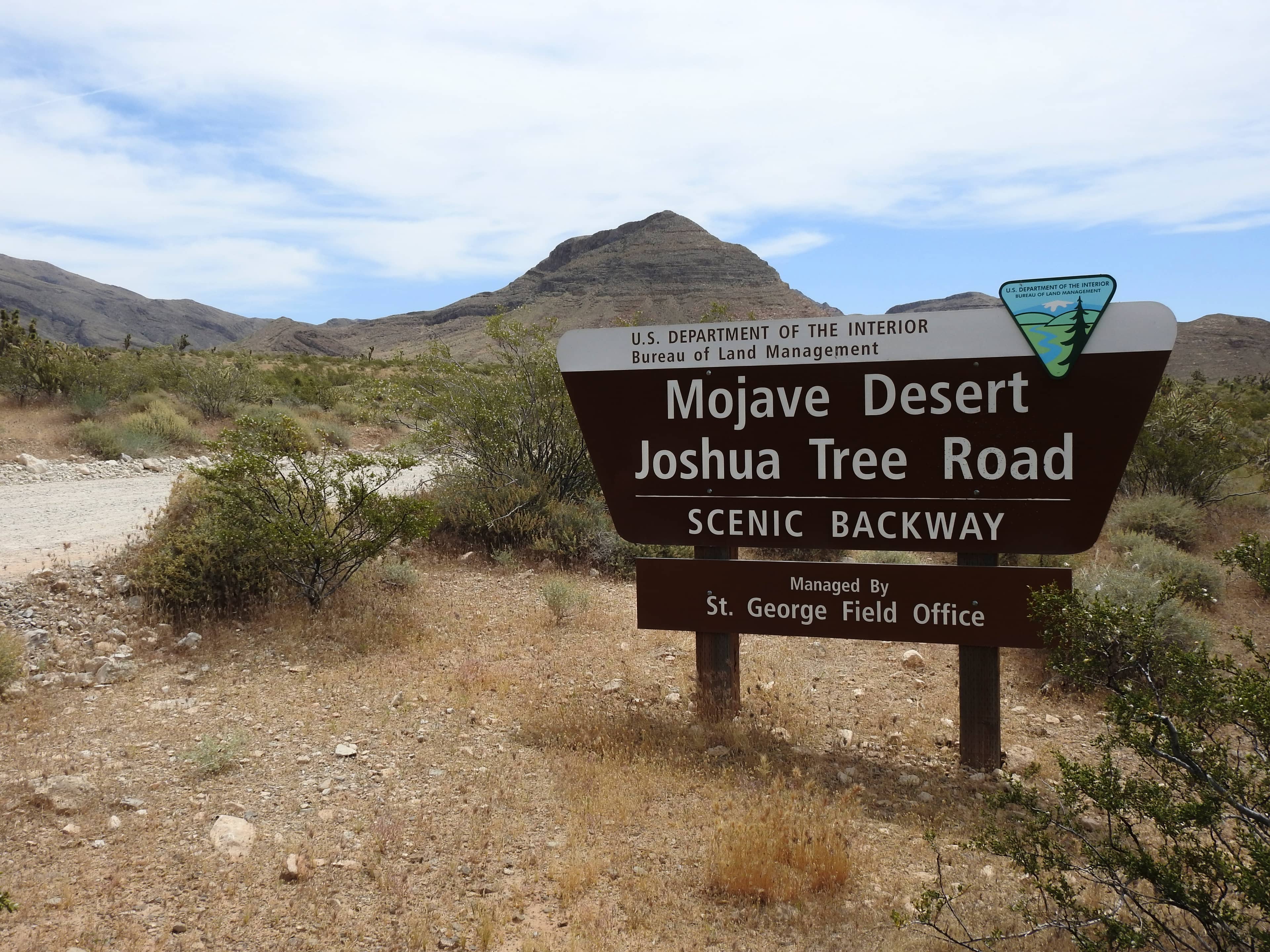 Plant Identification Signs