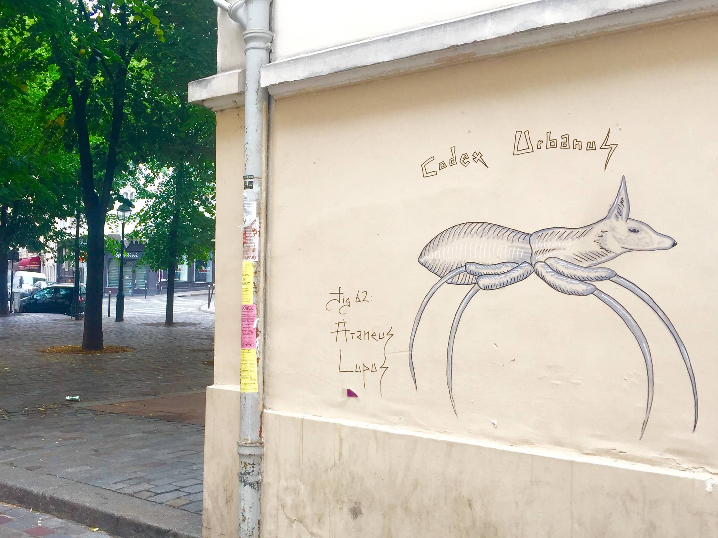 Codex Urbanus Street Art