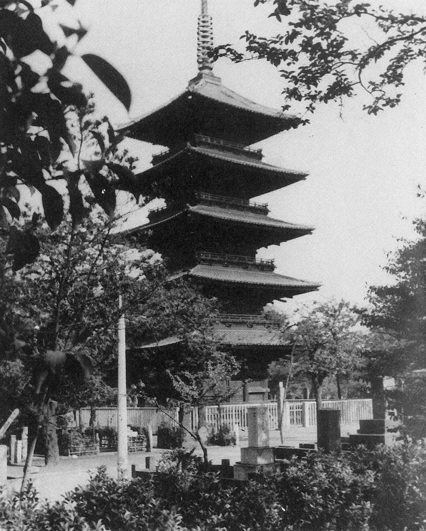 Peaceful Pagoda Views