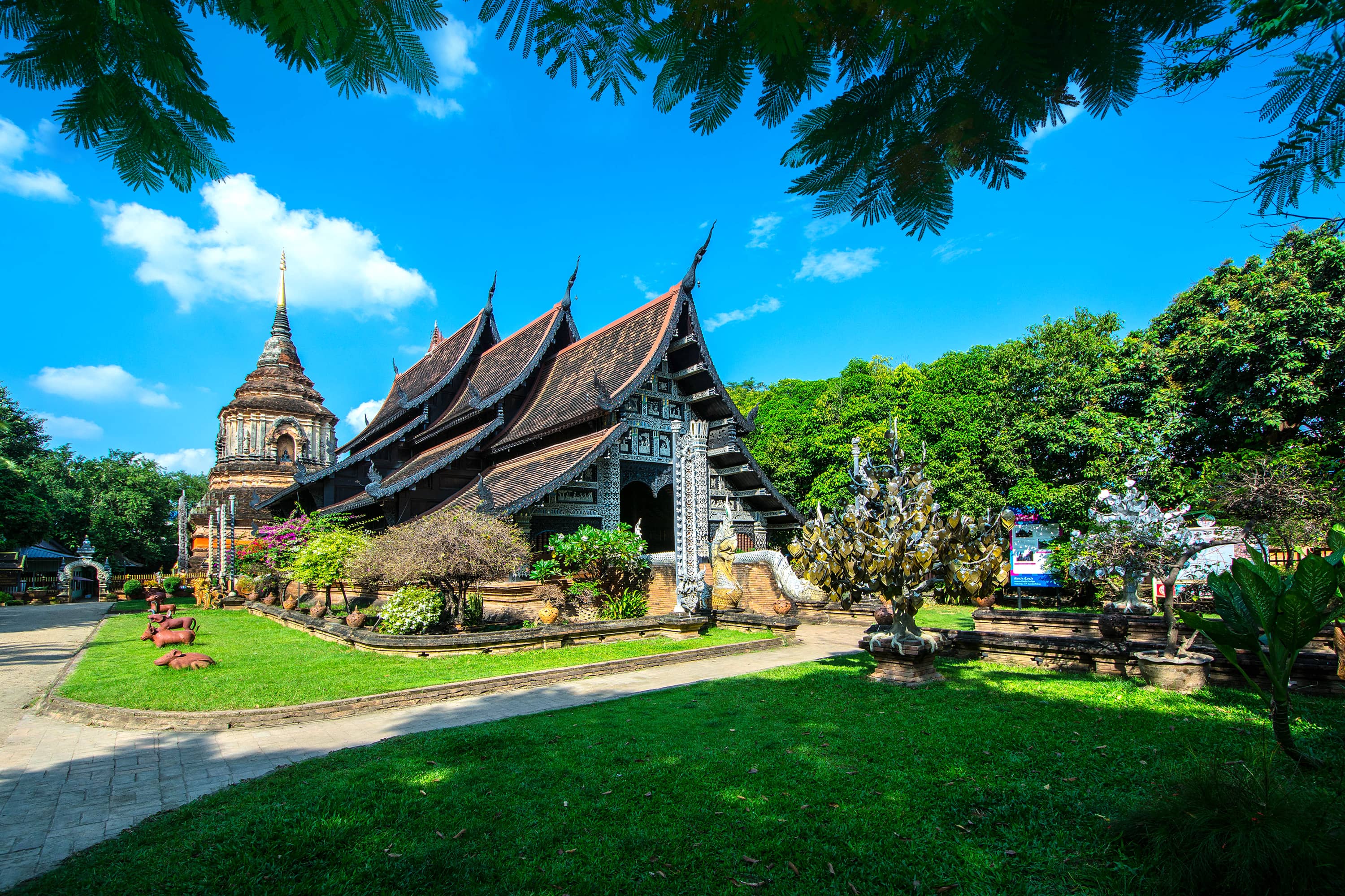 Serene Temple Grounds