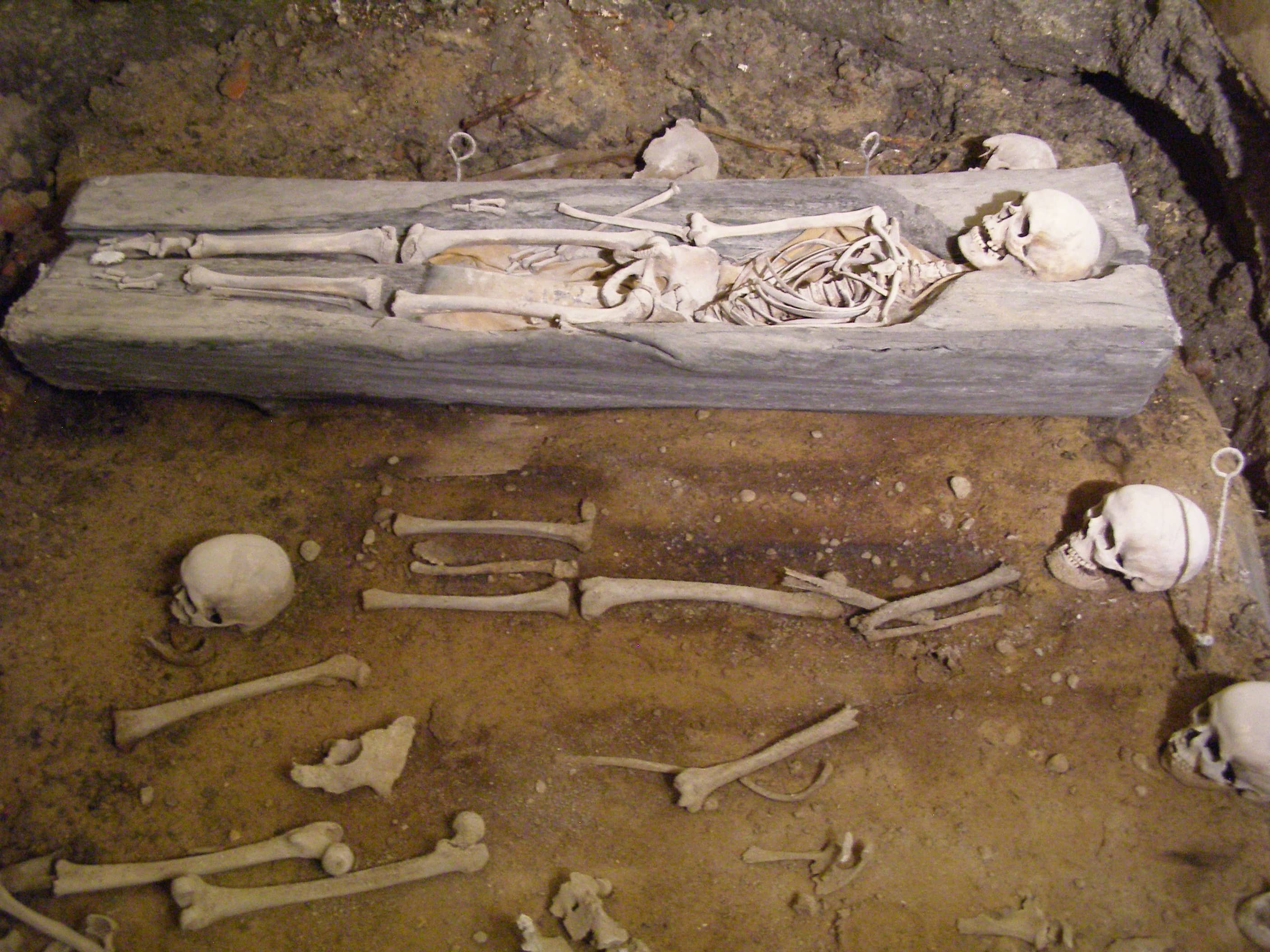 Crypt Exhibit