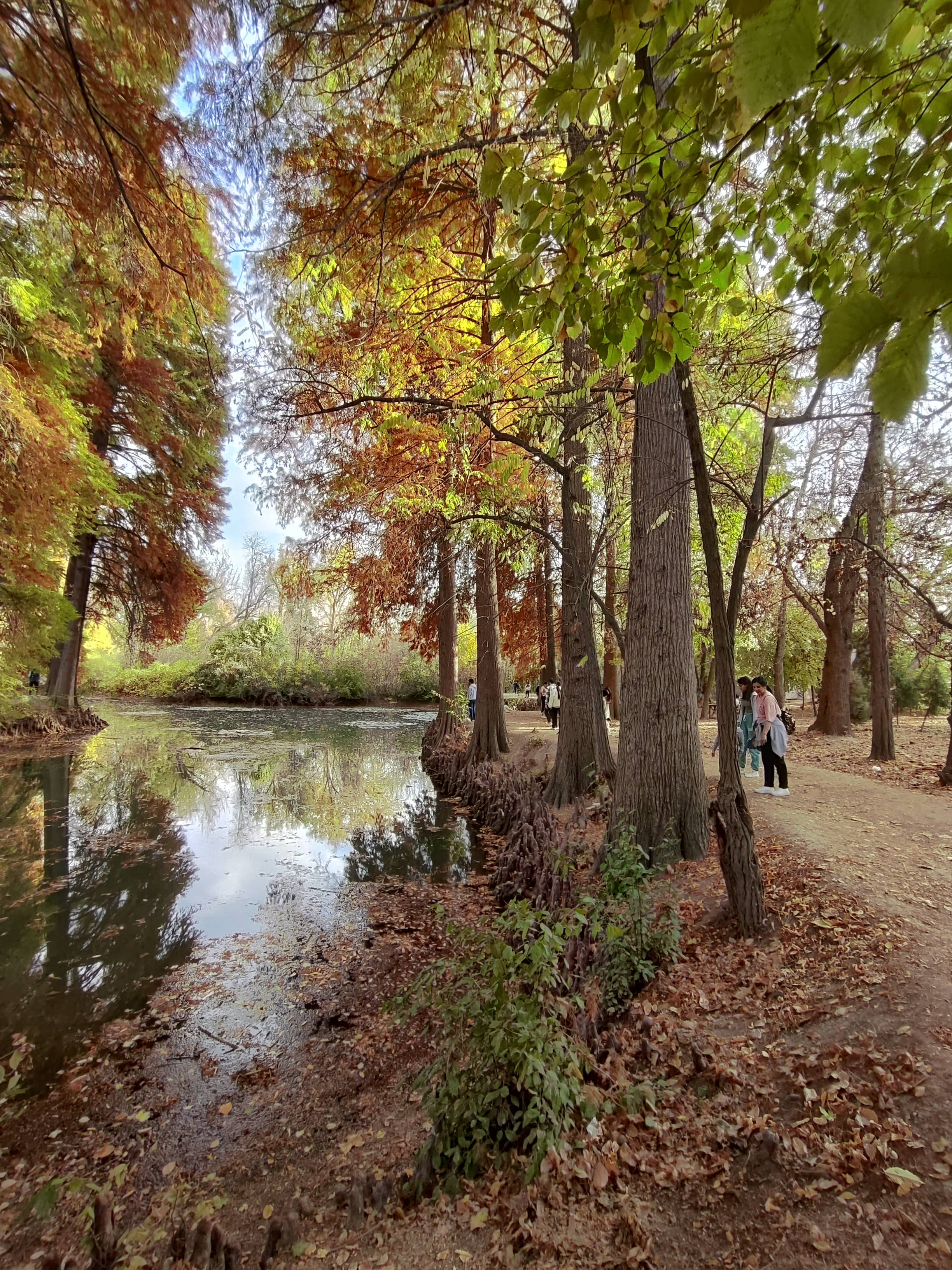 Arboretum Trails