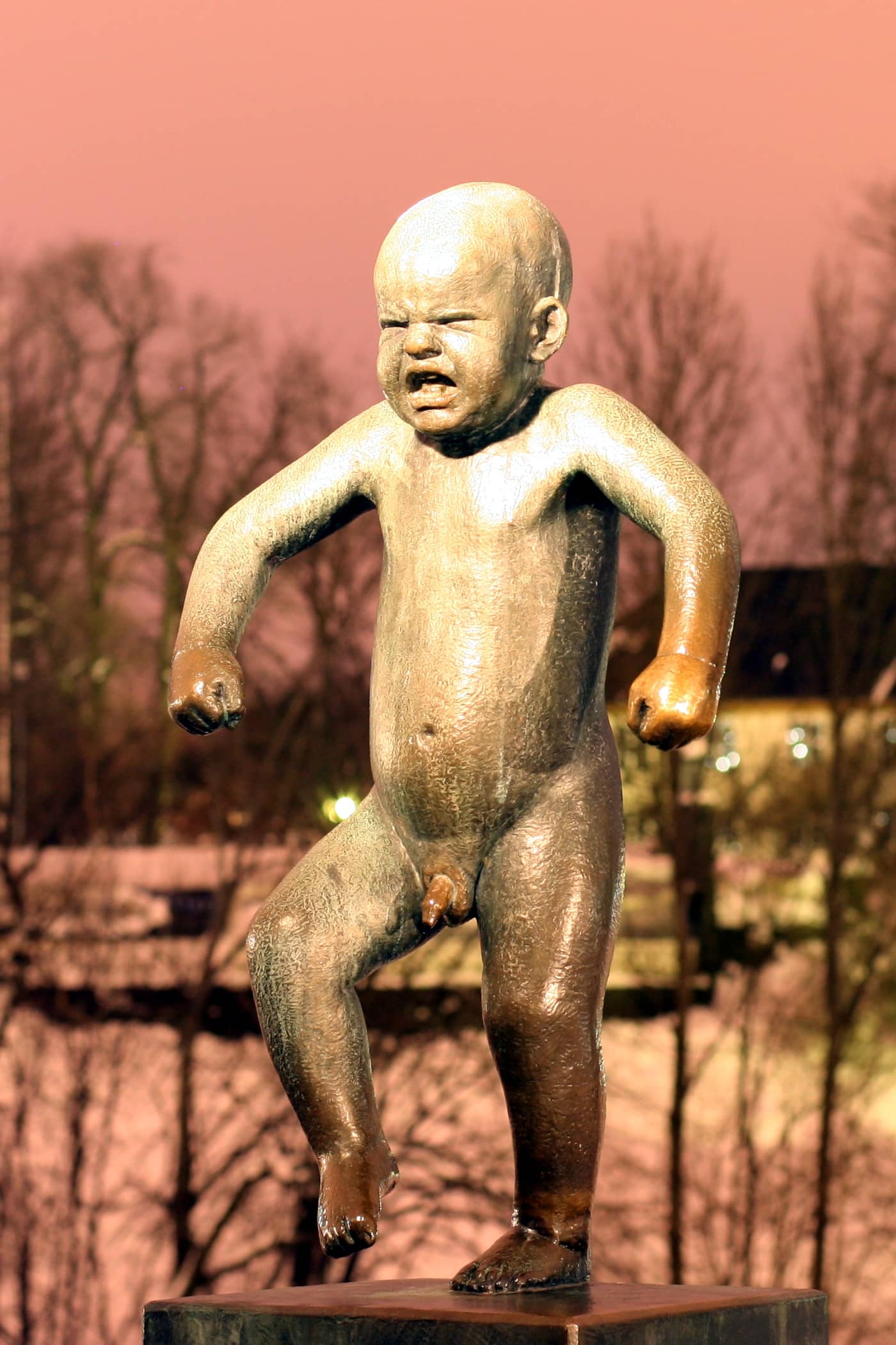 The Angry Boy (Sinnataggen)
