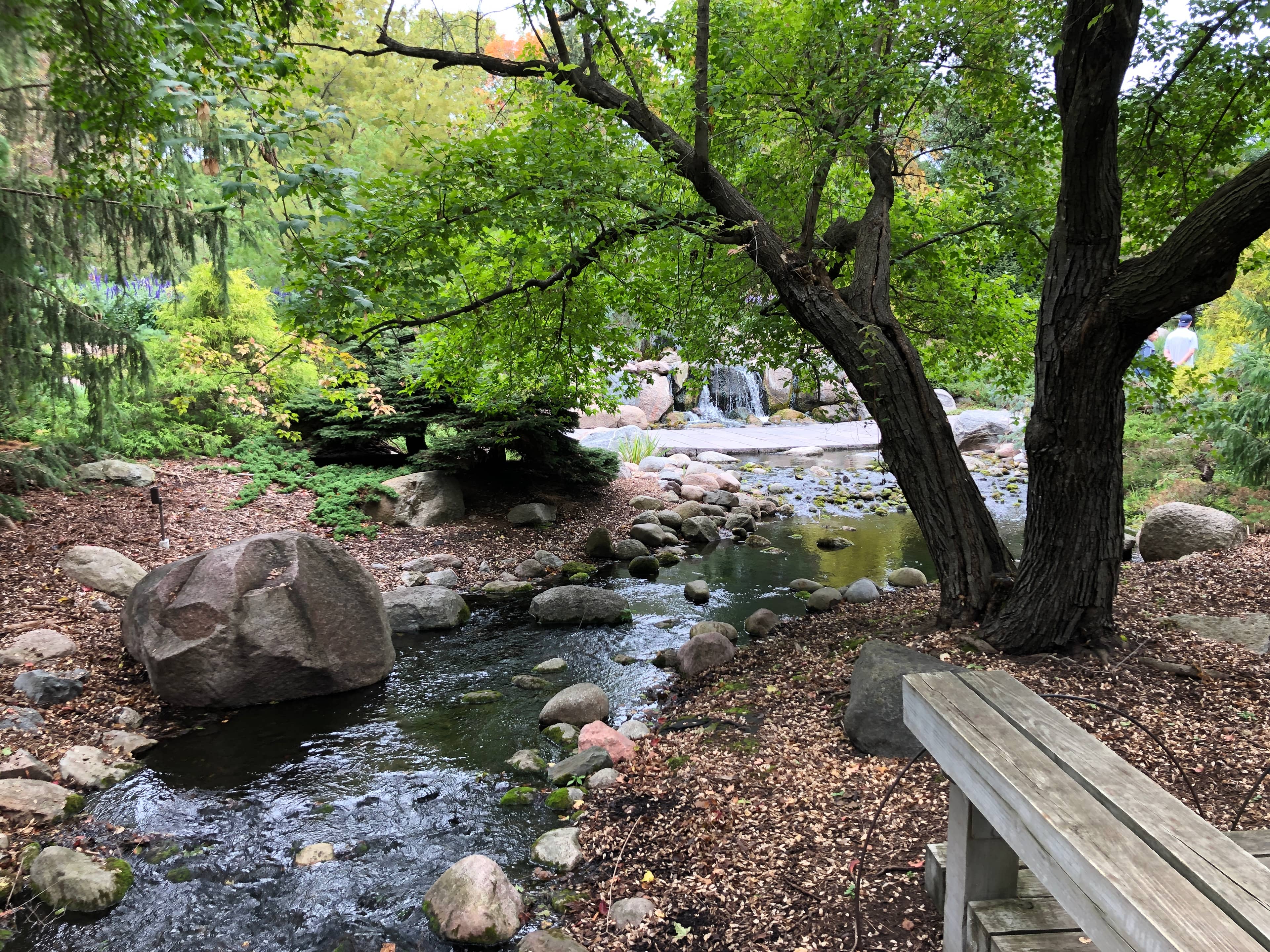 Nature Play Area