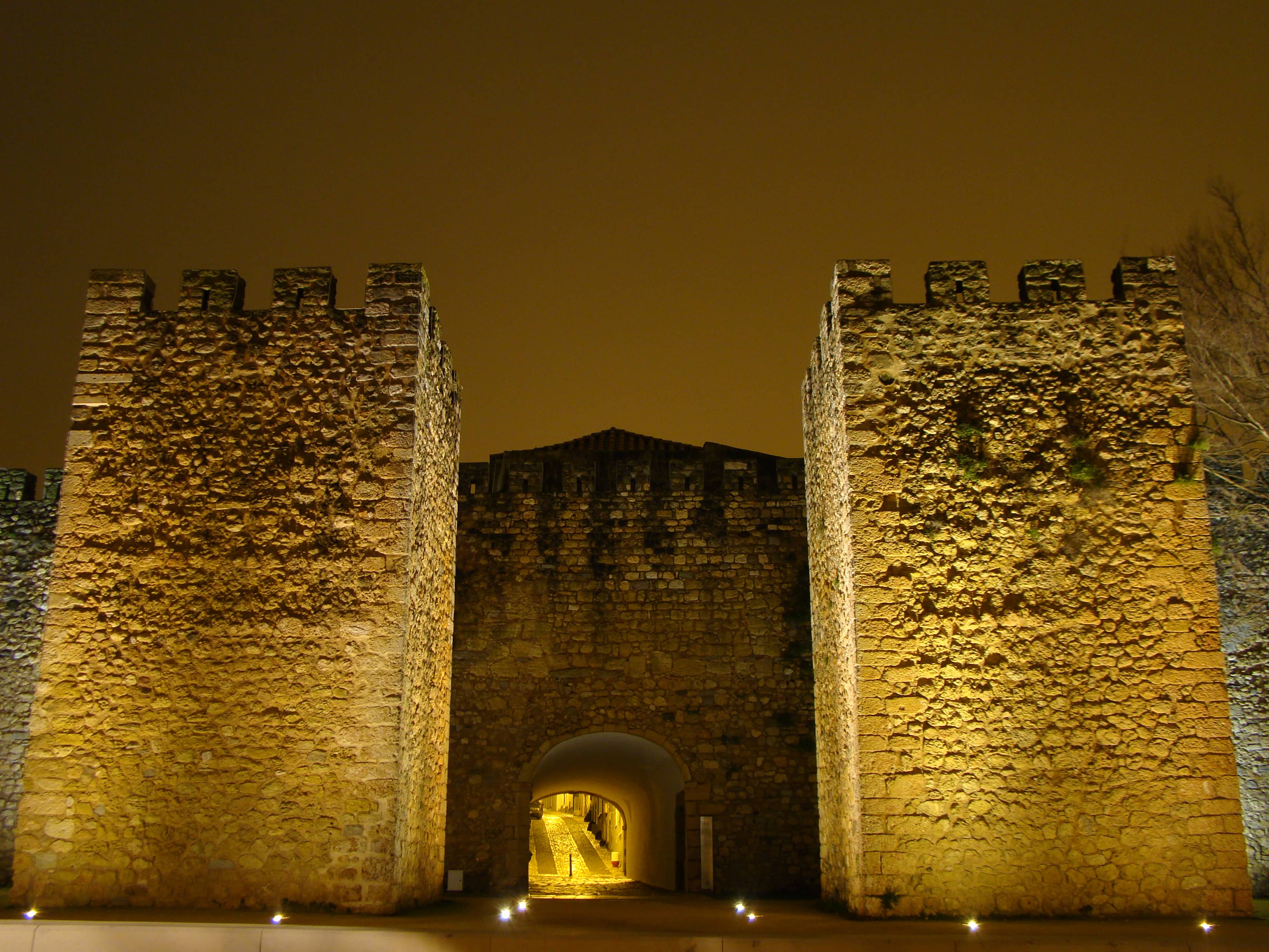 Castle of Lagos