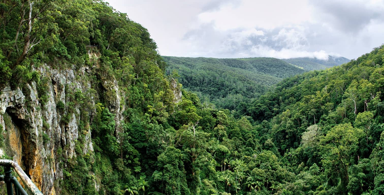 Panoramic Escarpment Views