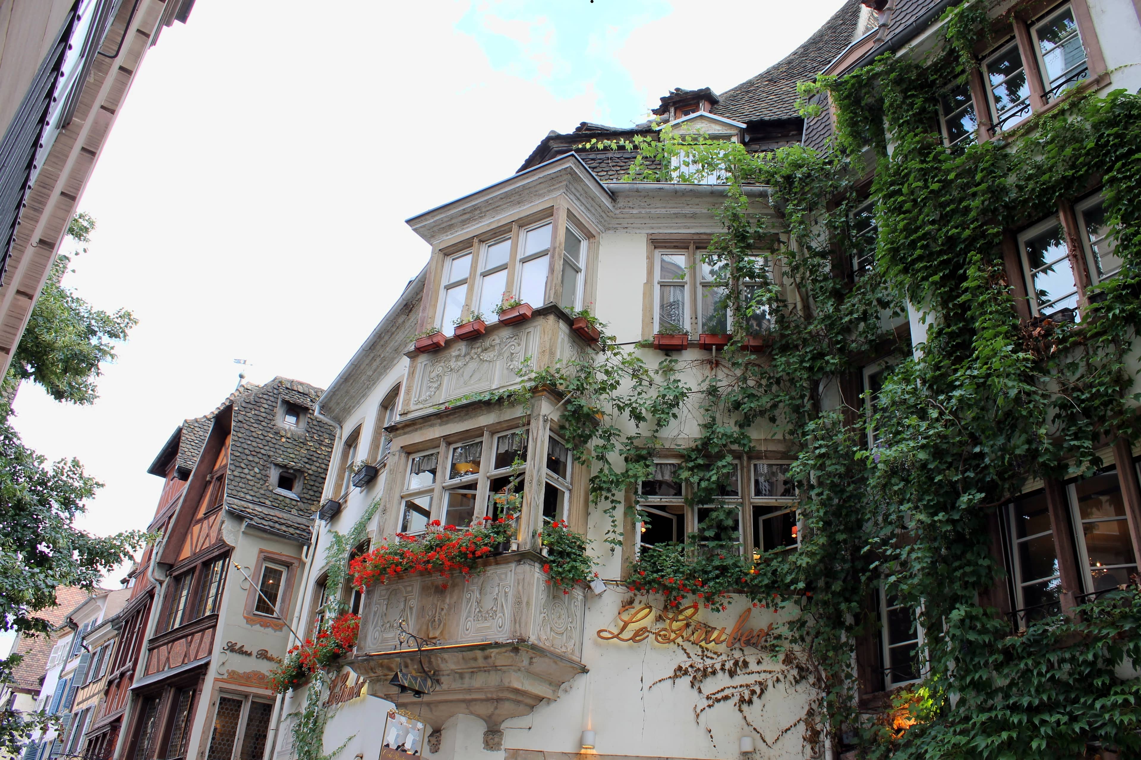Teddy Bear House