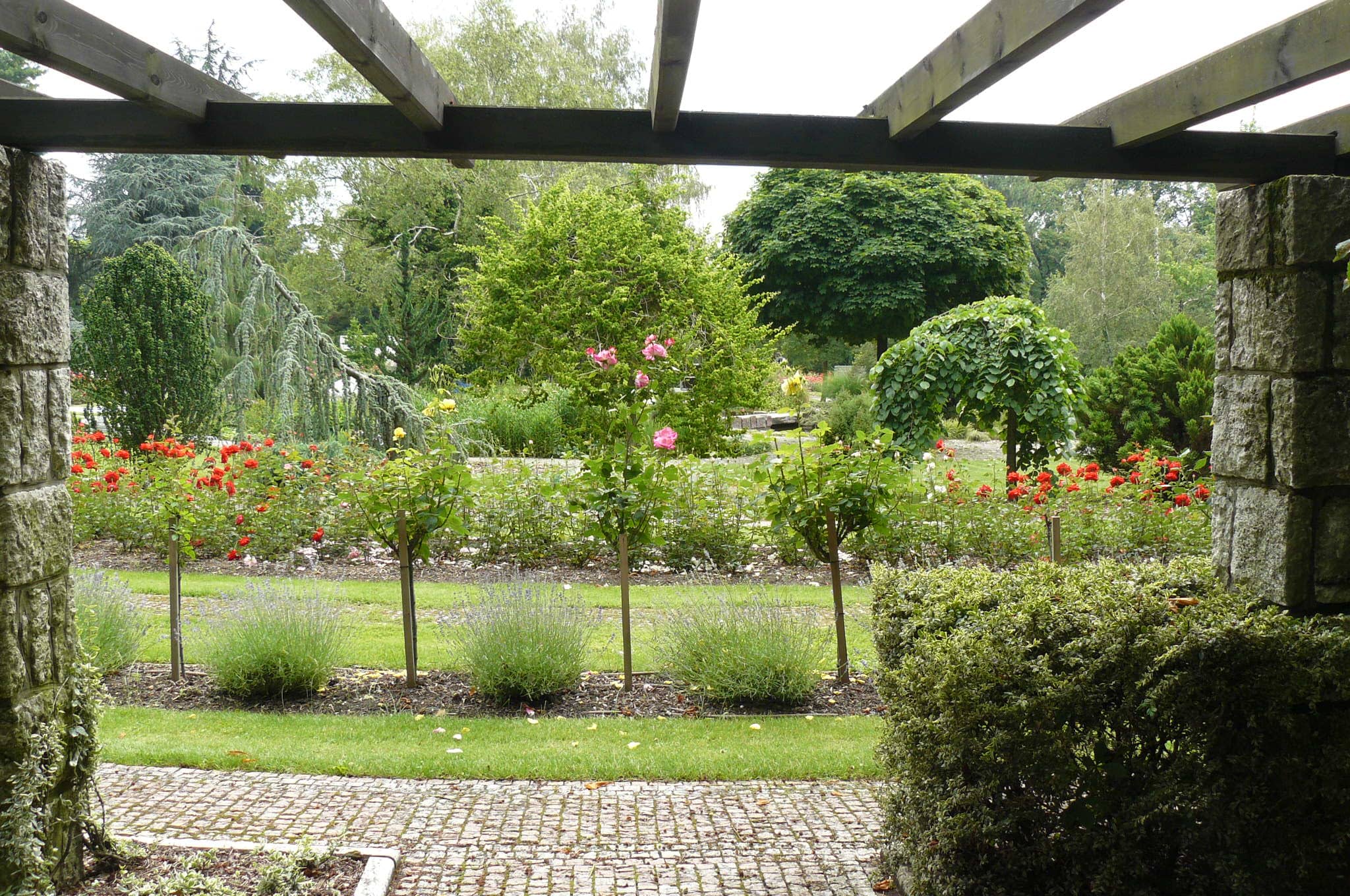 Rose Garden