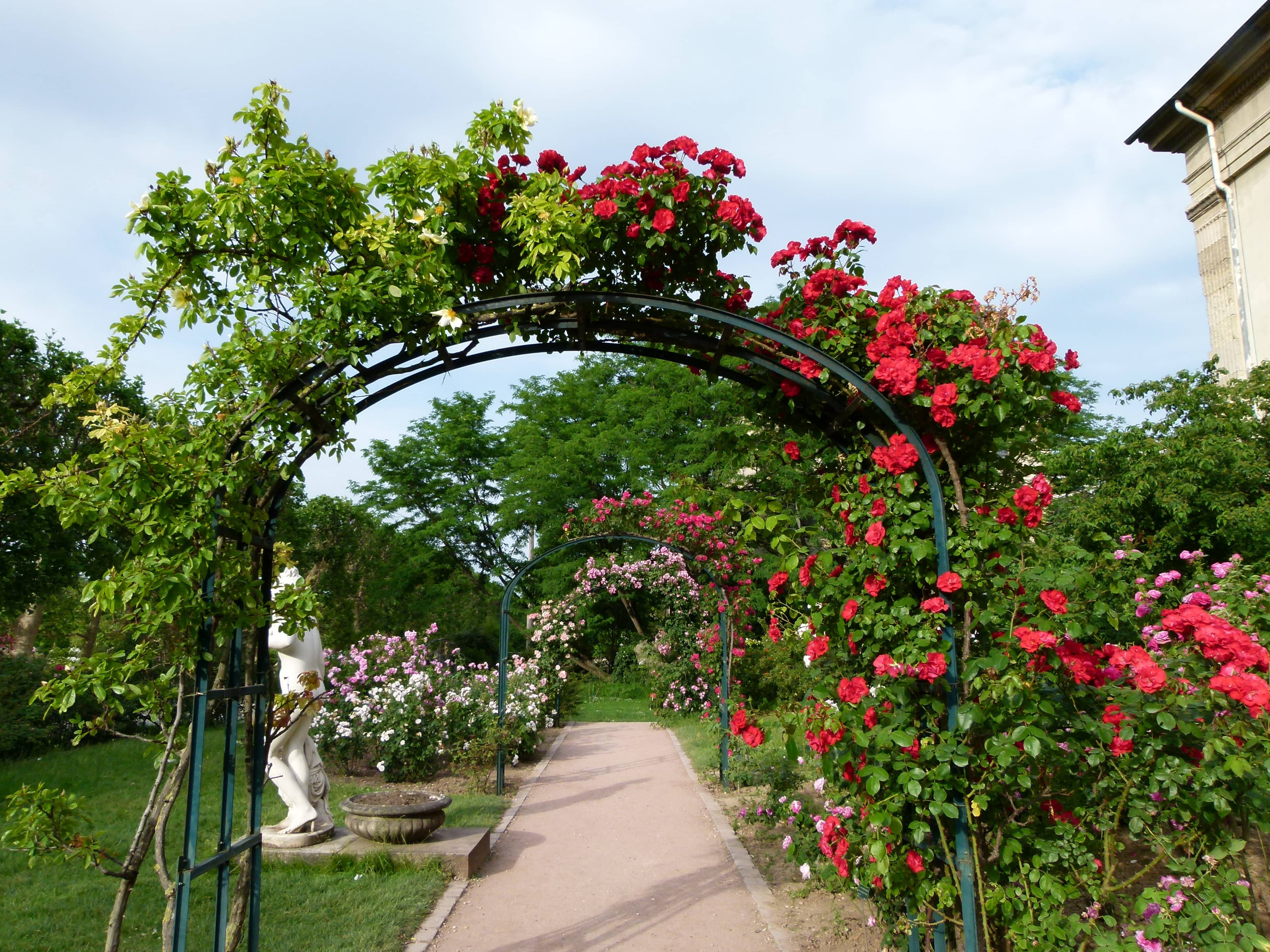 Rose Garden & School of Botany