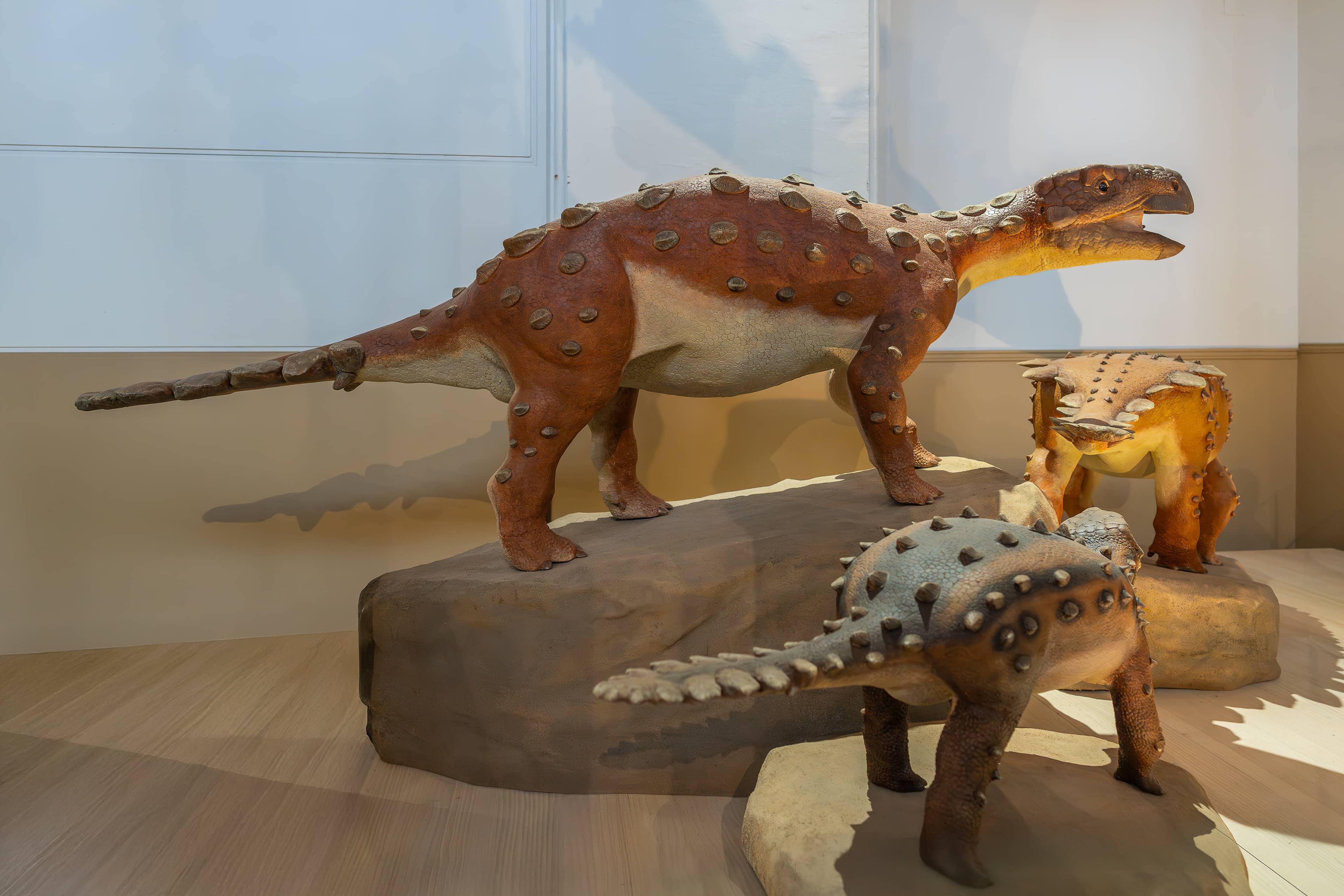 Dinosaur Exhibits