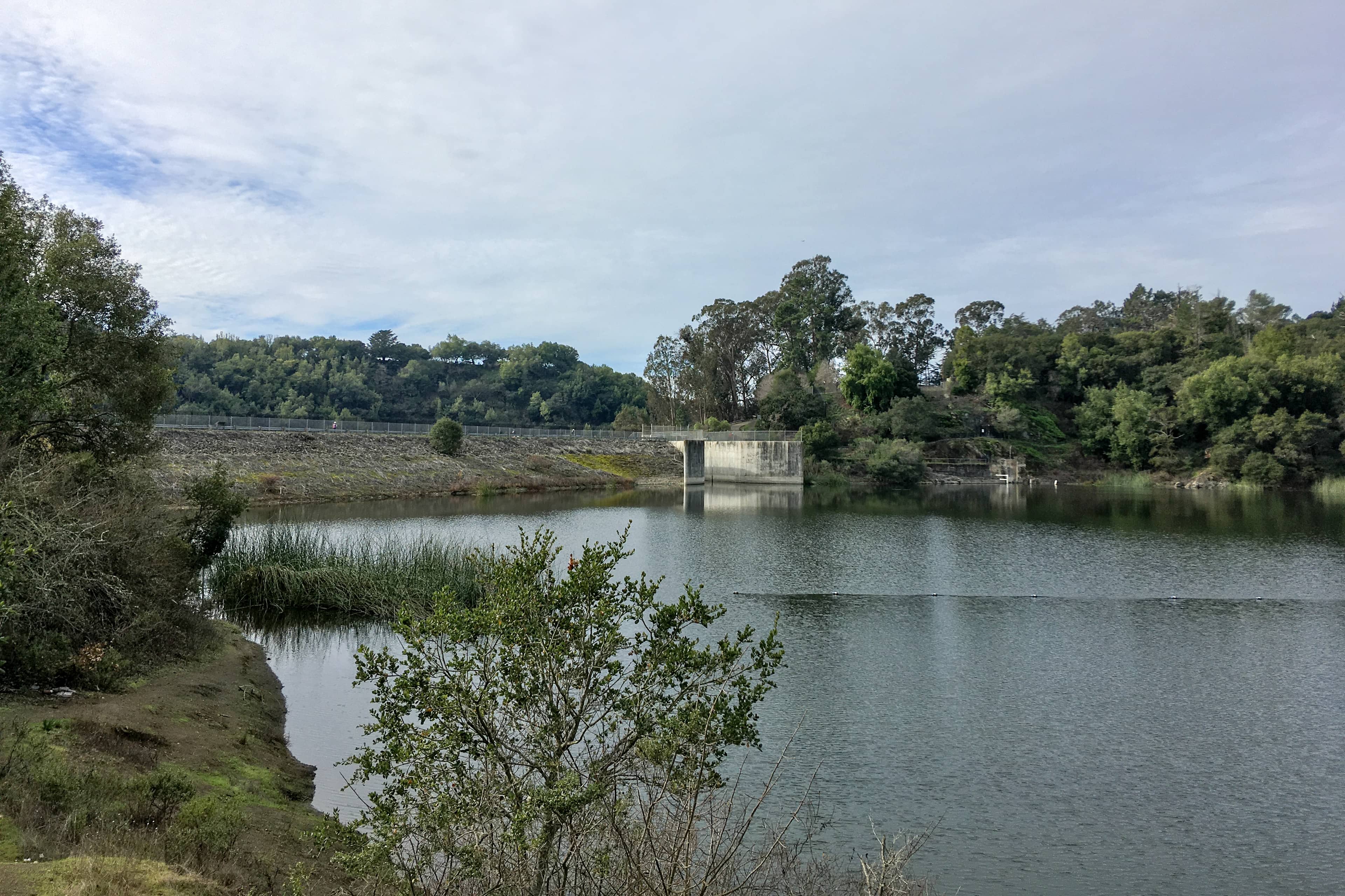 Guided Nature Walks