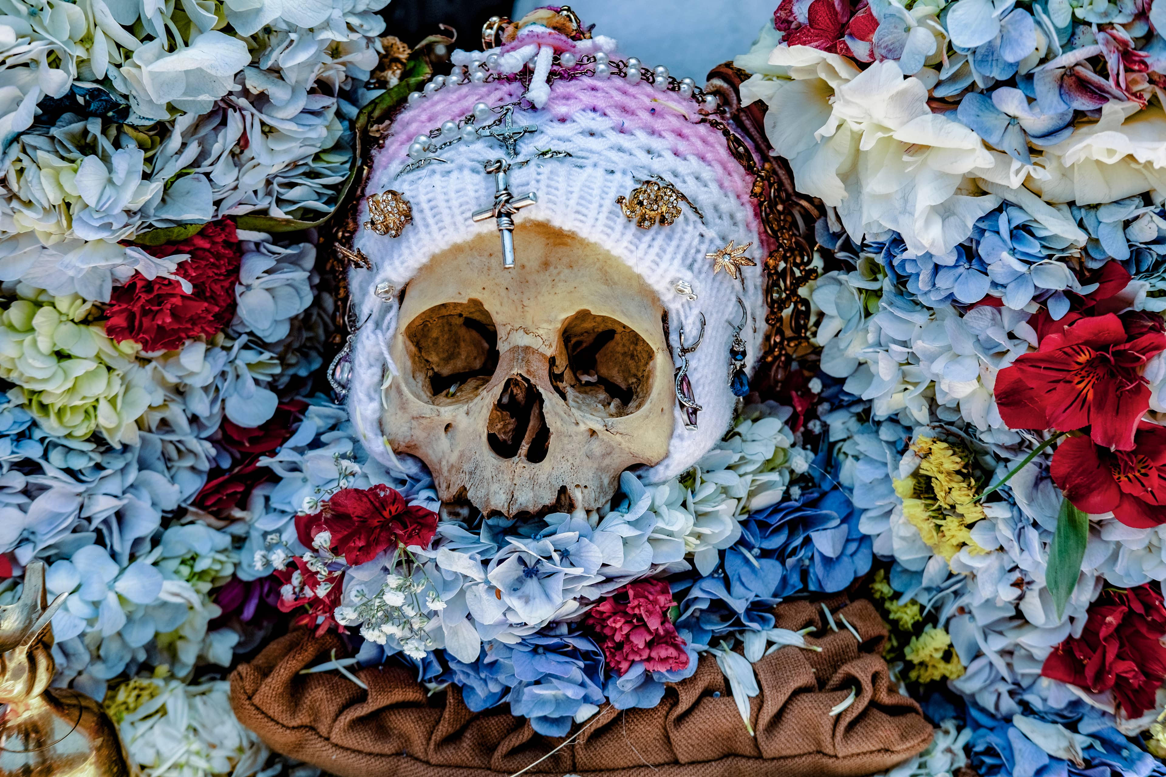 The 'Niatitas' Tradition