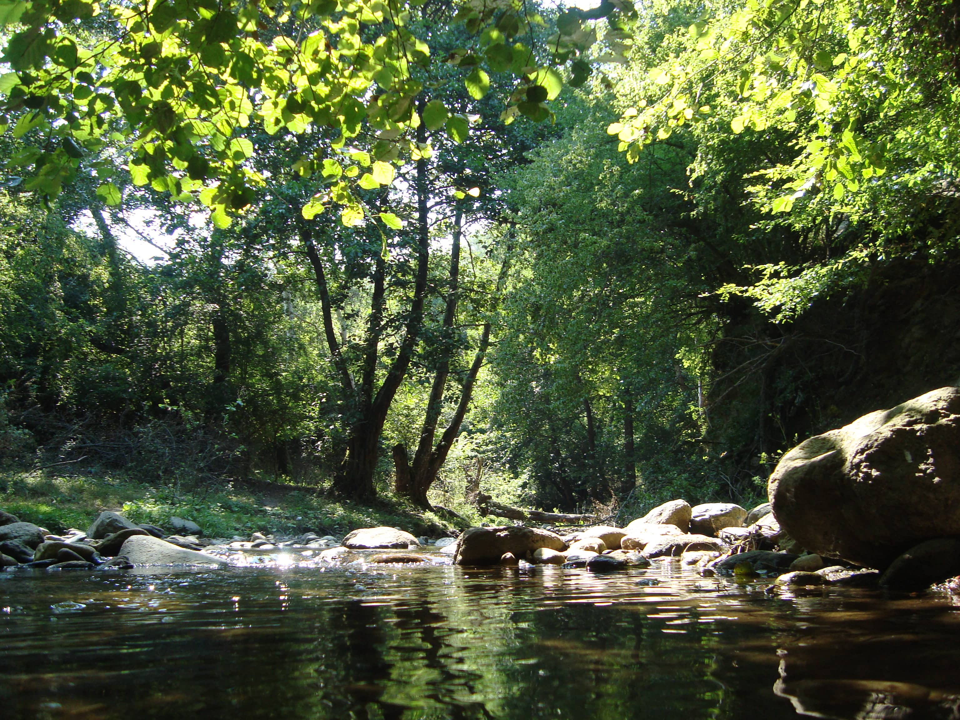 Riverside Serenity