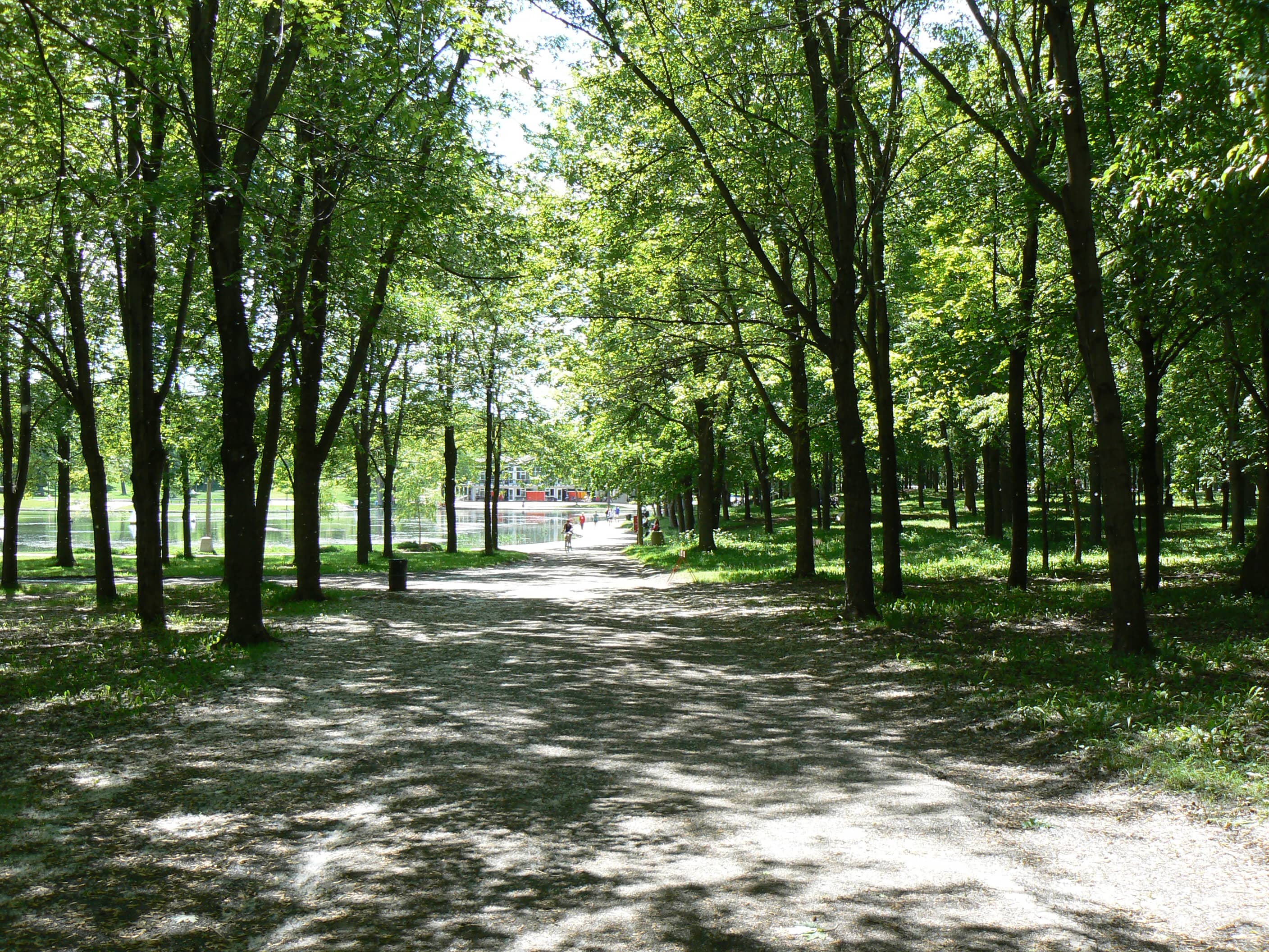 Mount Royal Park Access