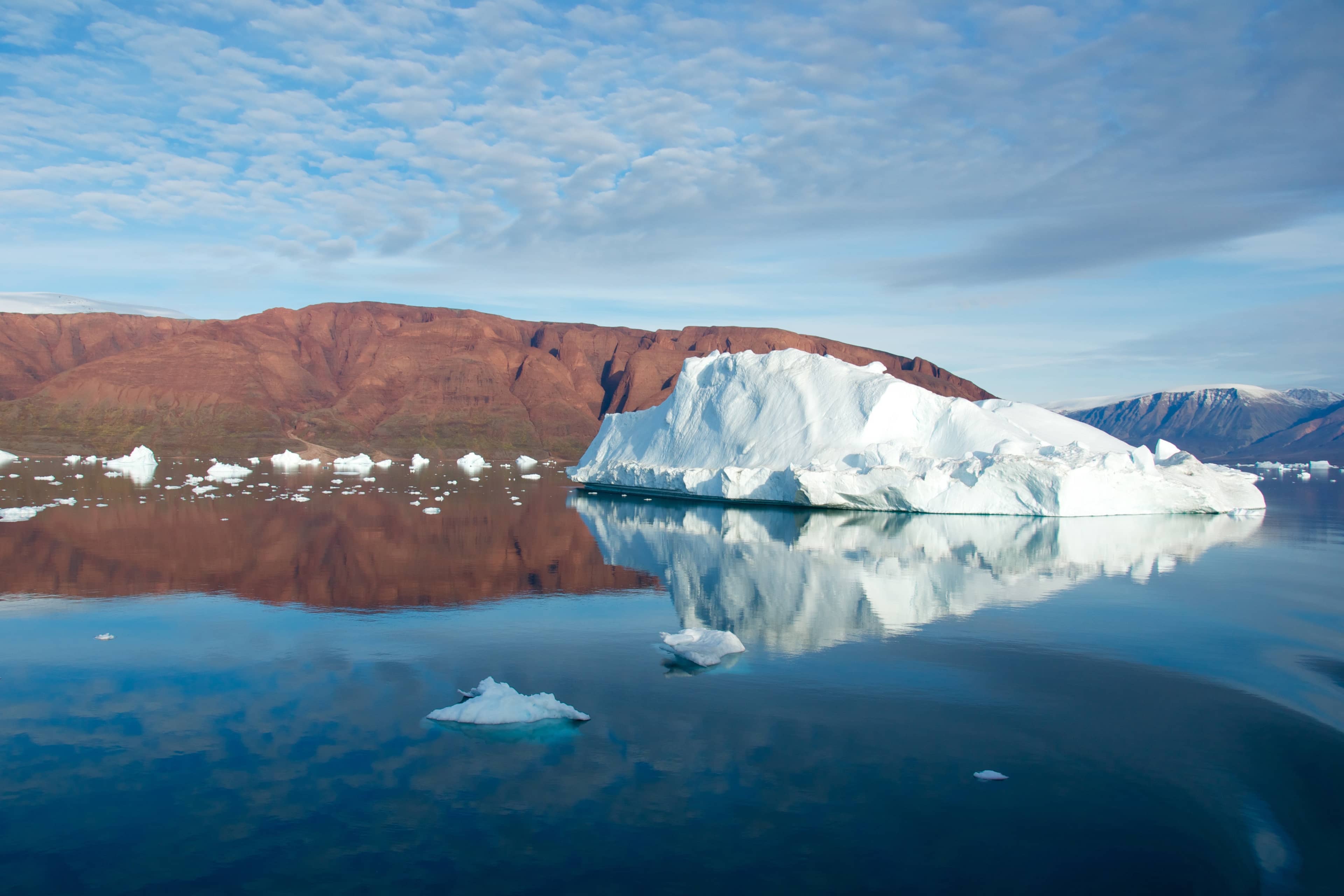 Icebergs in the Bay