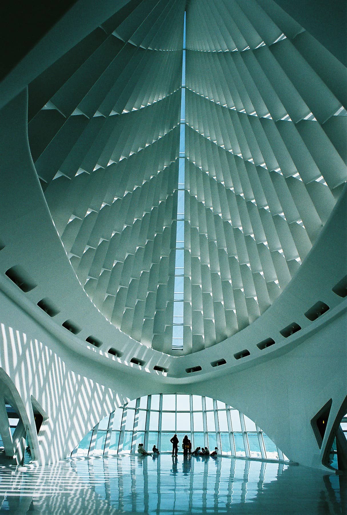 Santiago Calatrava's Architecture