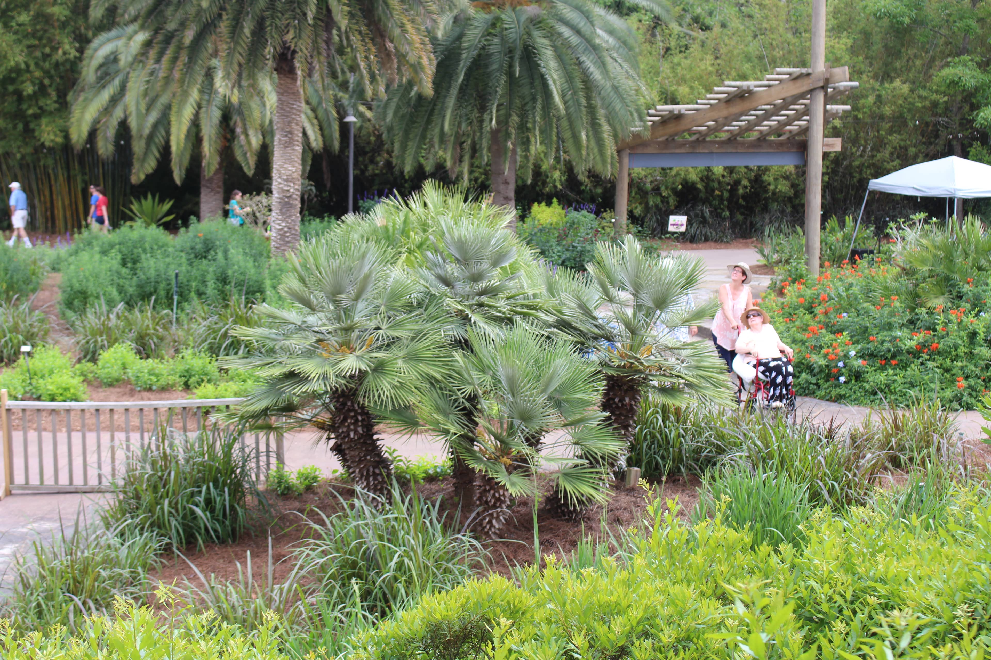 Botanical Gardens