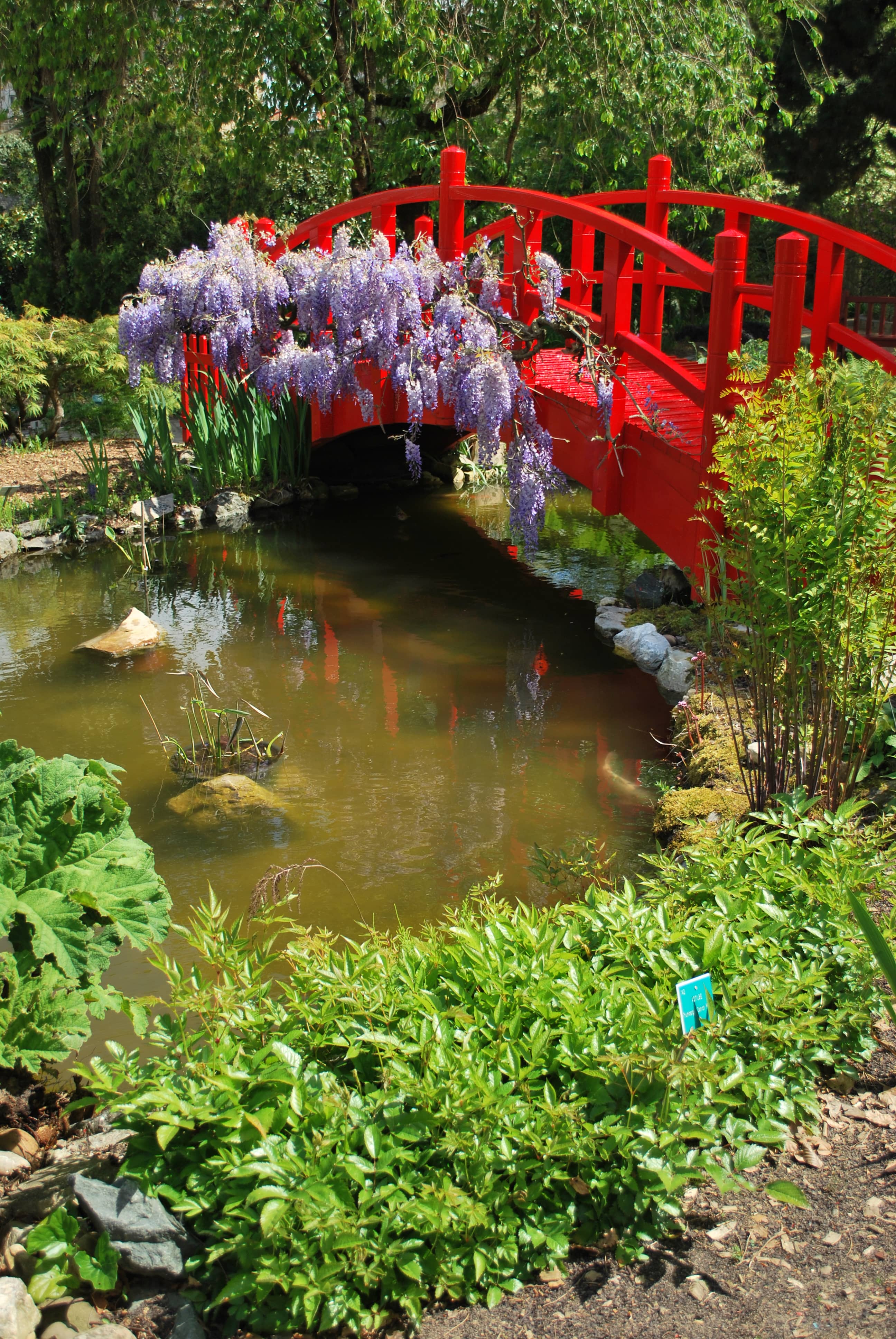 Botanical Garden