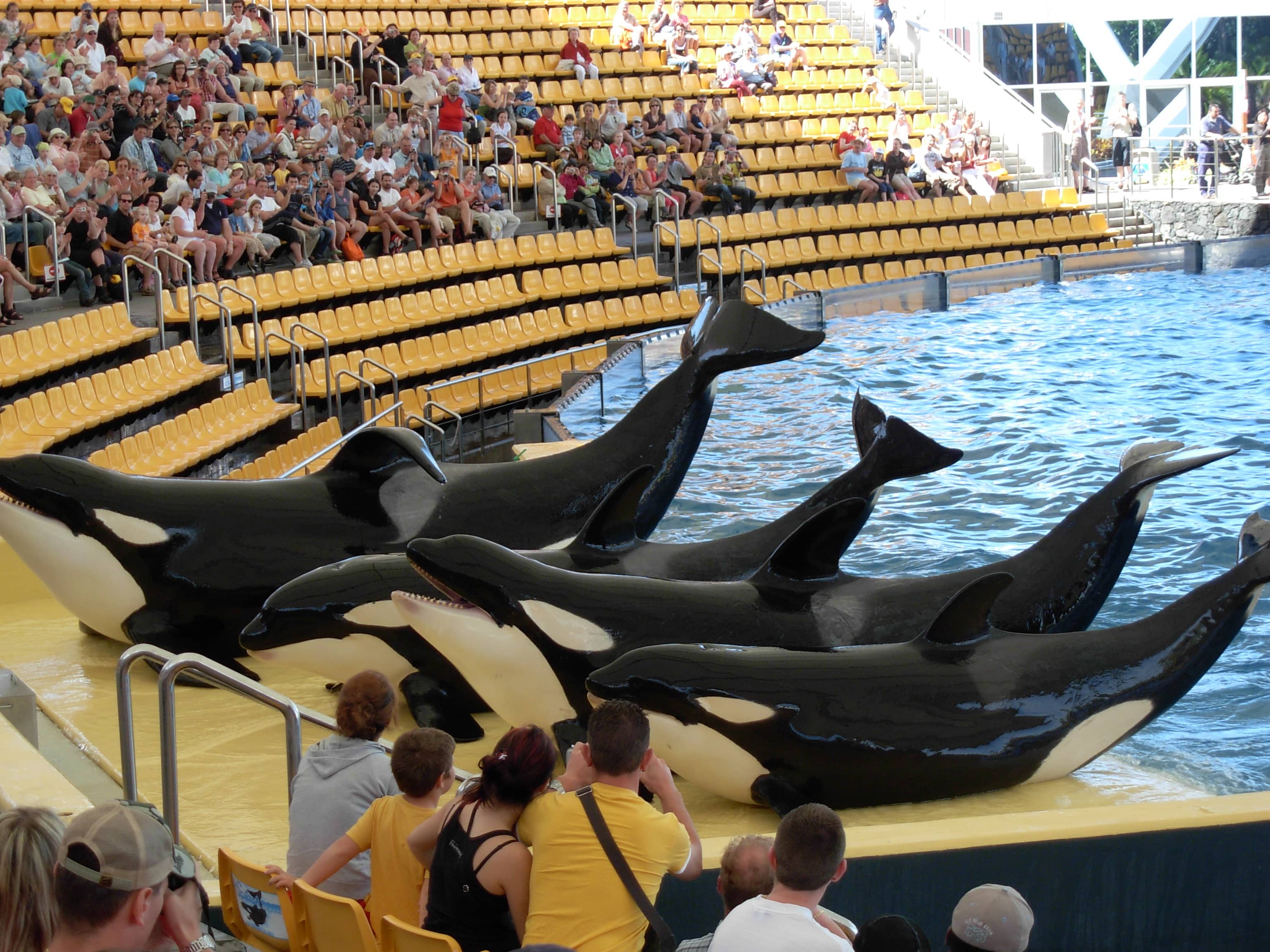 Loro Parque