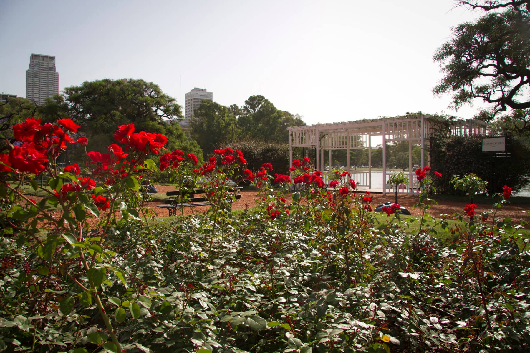 Green Spaces Galore
