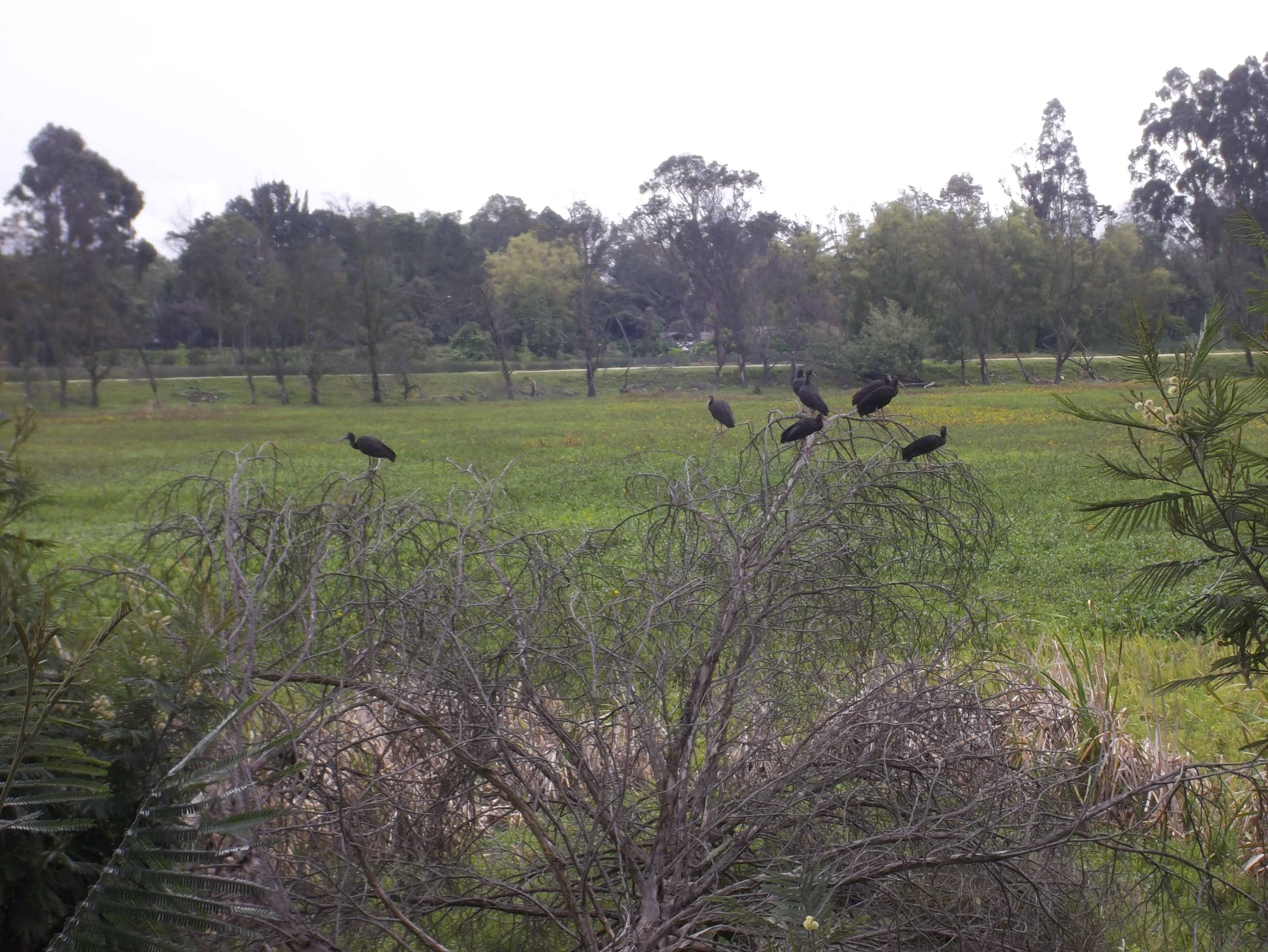 Birdwatching Paradise