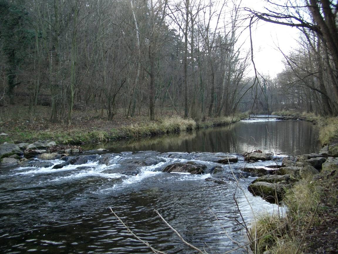Schwechat River Walk