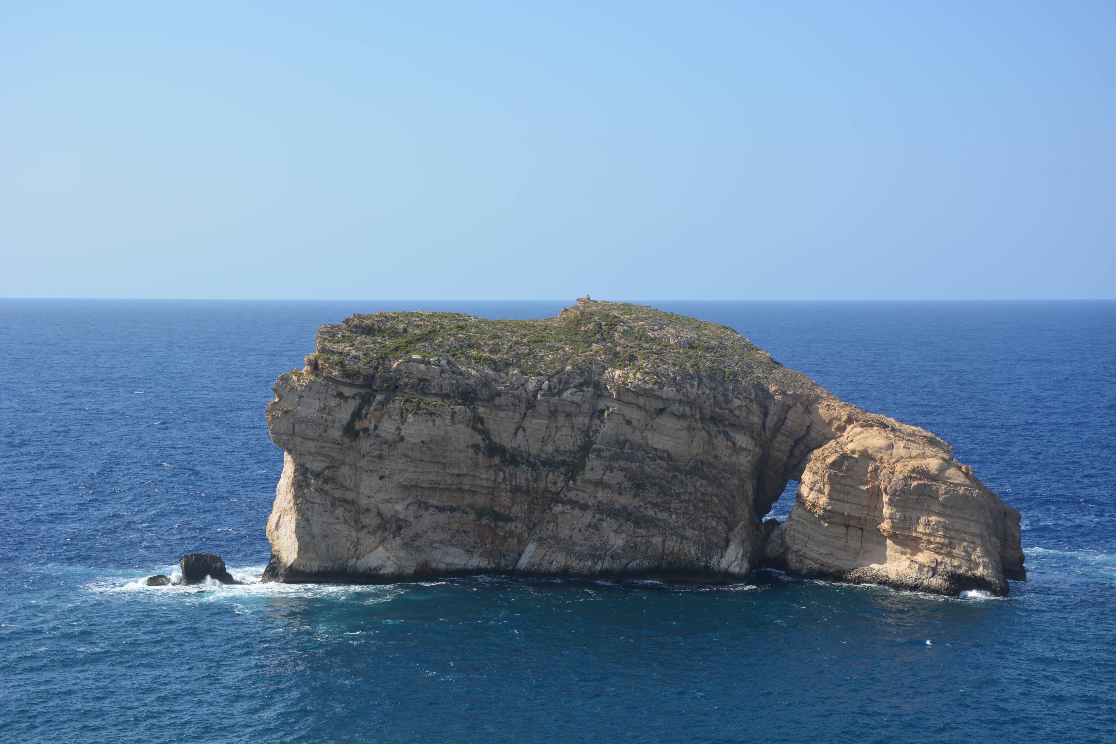 Fungus Rock
