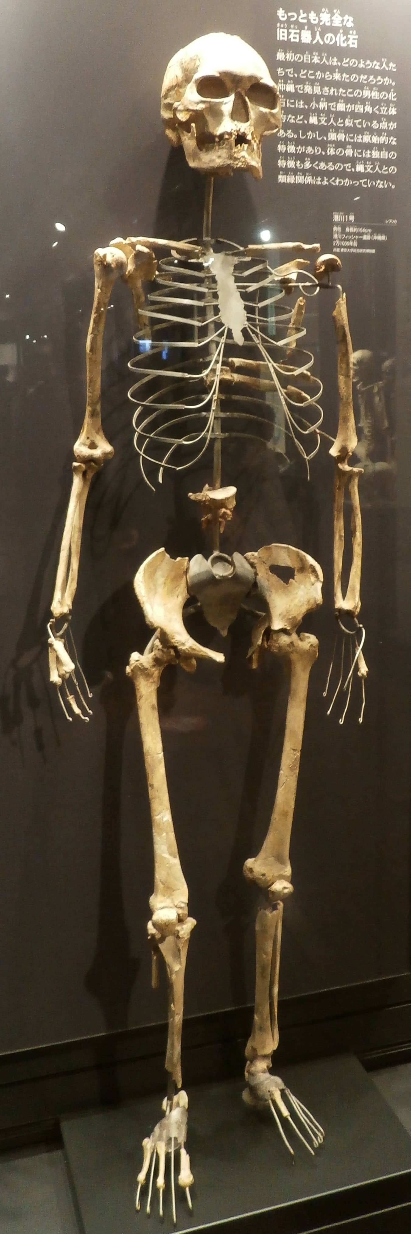 Evolutionary Insights