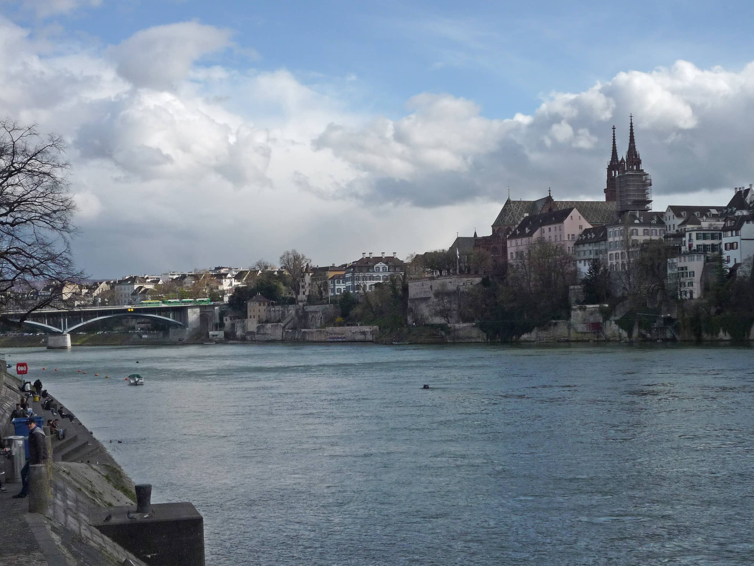 Rhine River Views