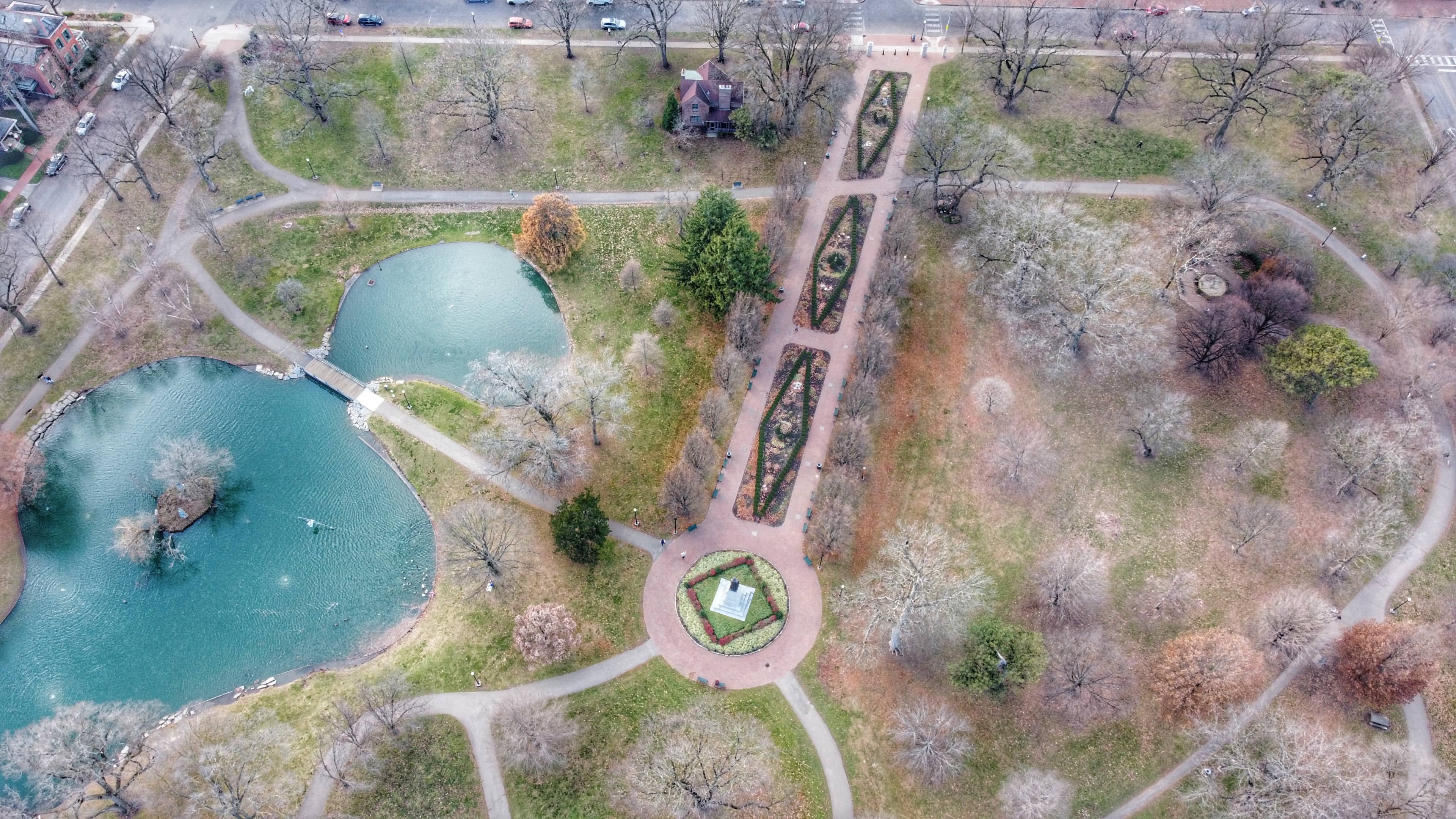 Pond with Artwork