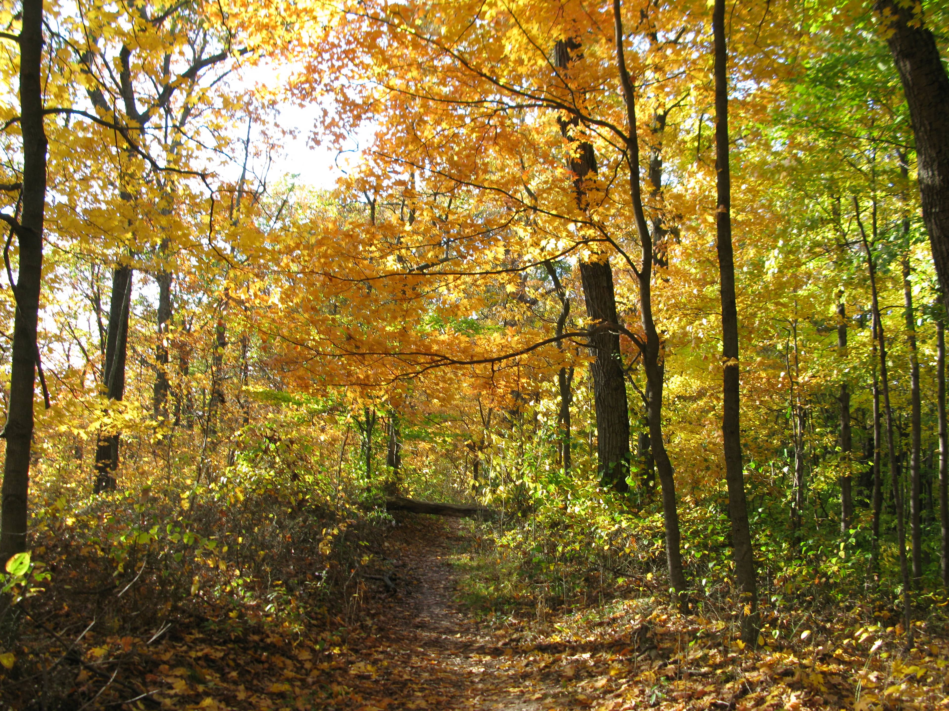 Hiking & Biking Trails