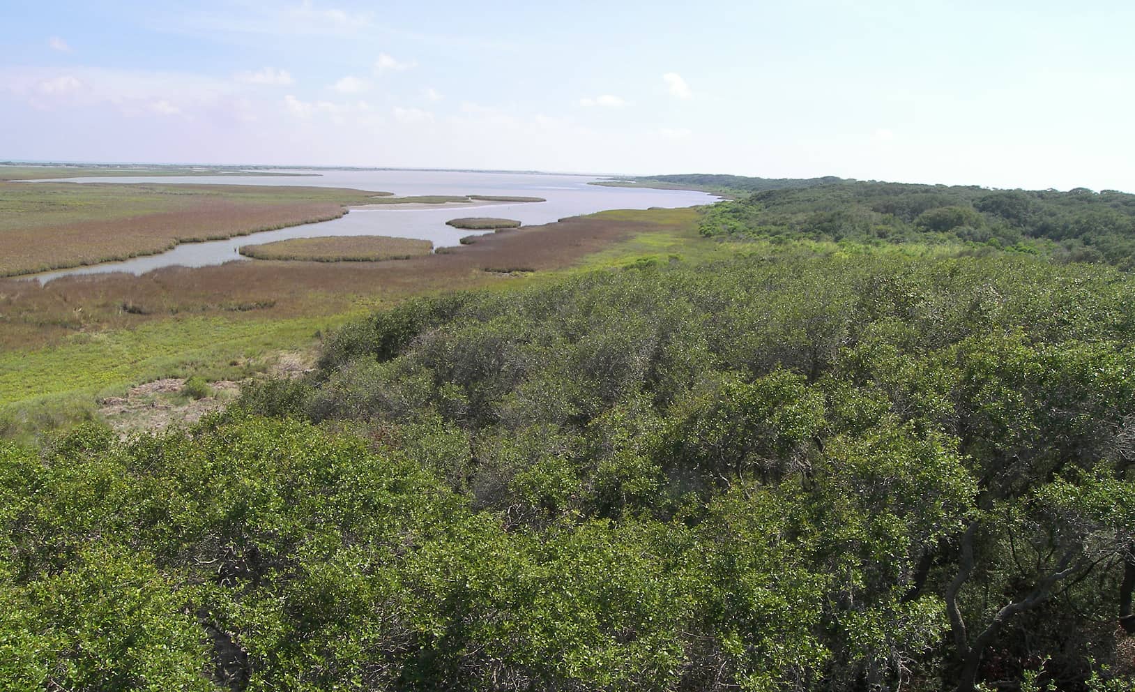 Observation Towers