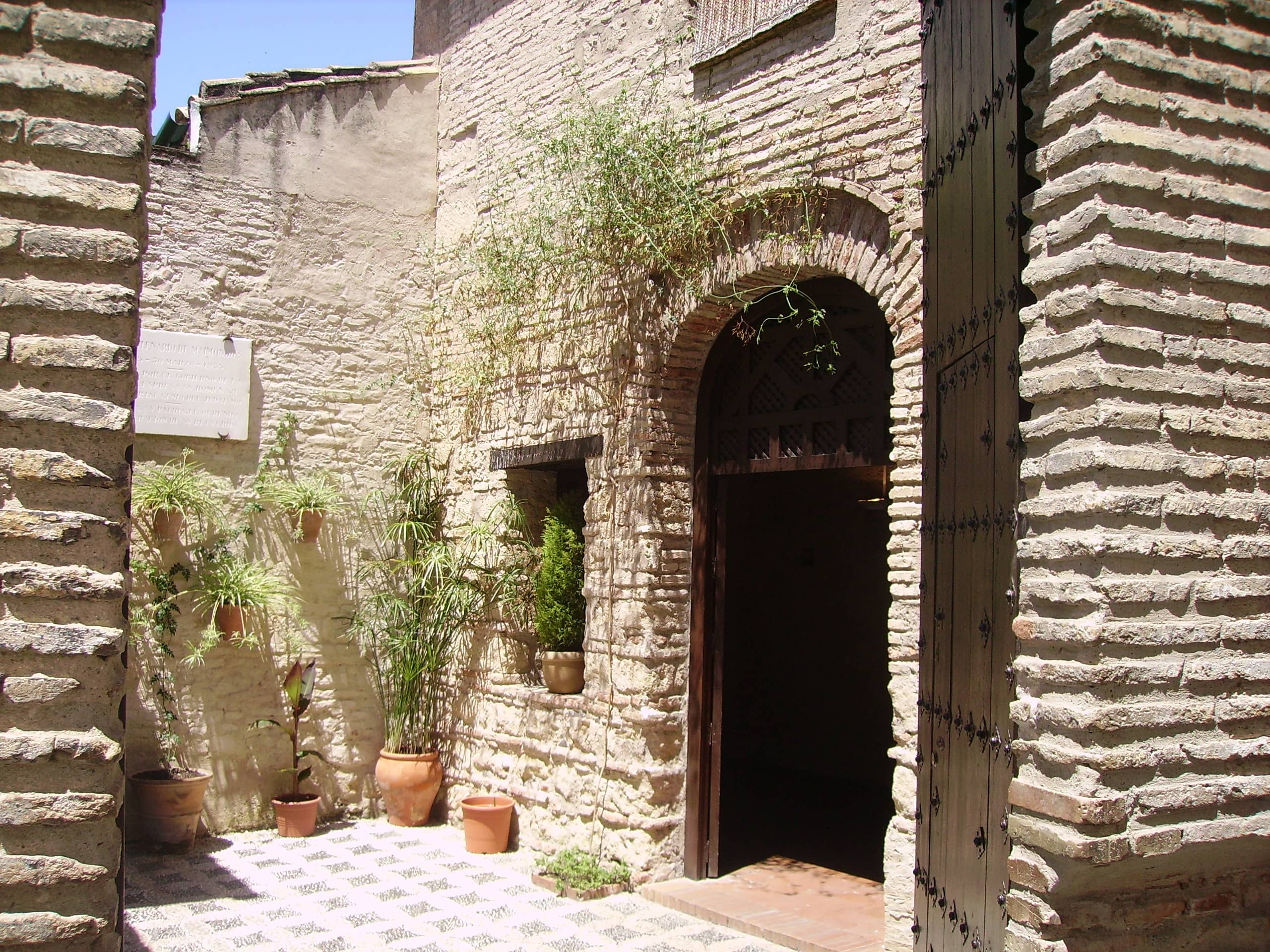 Courtyard Ambiance