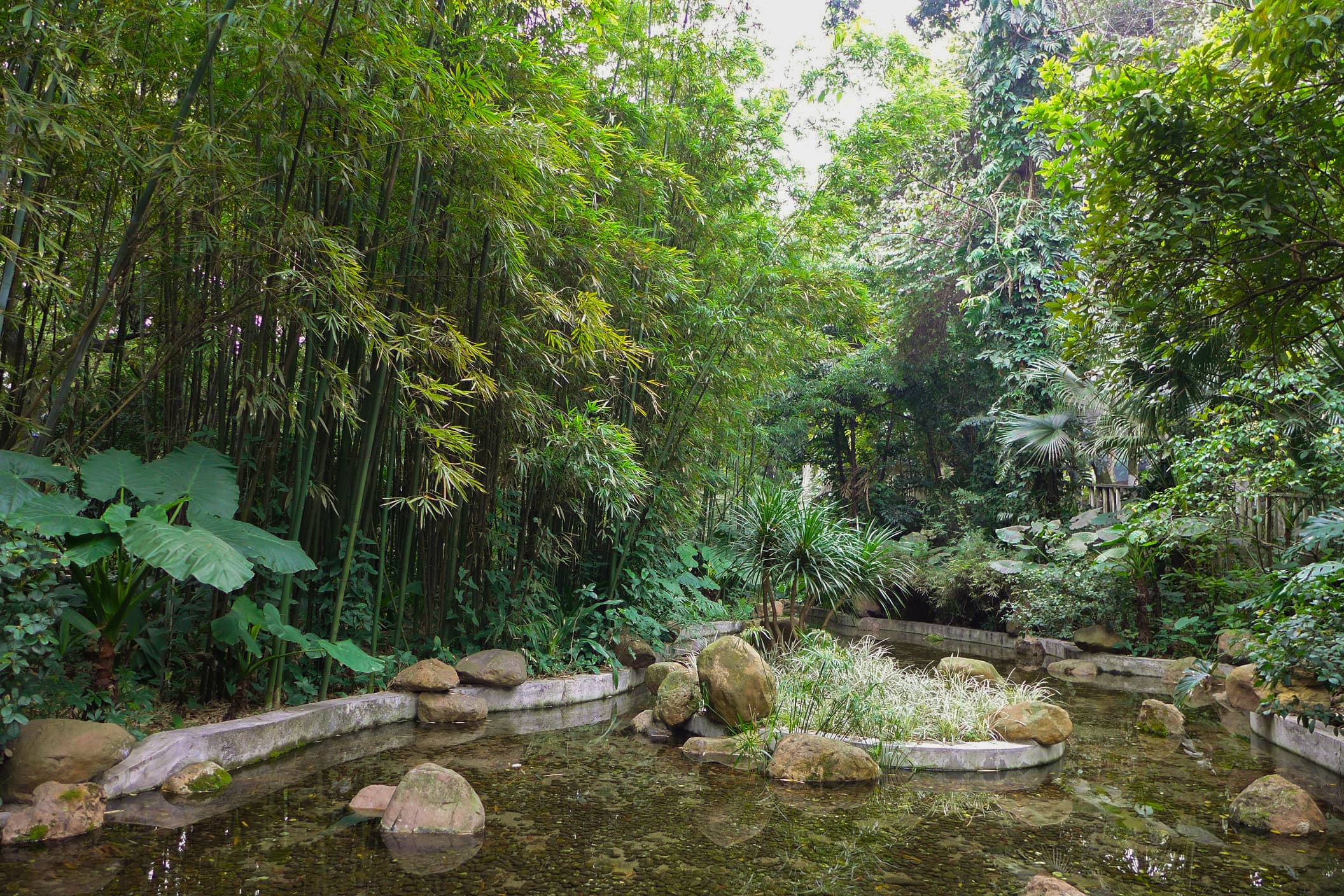 Tranquil Water Features
