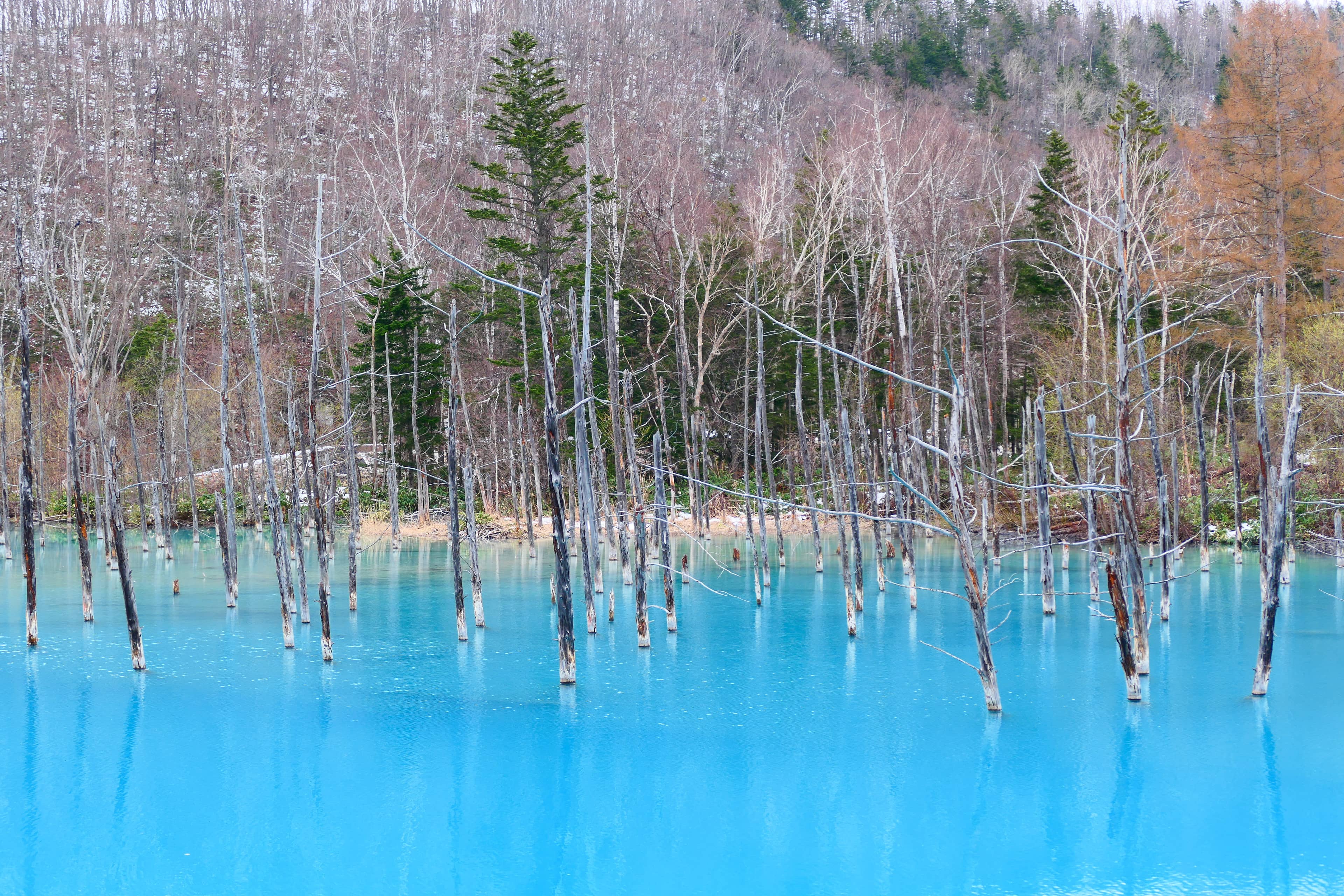 Blue Pond (Aoike)