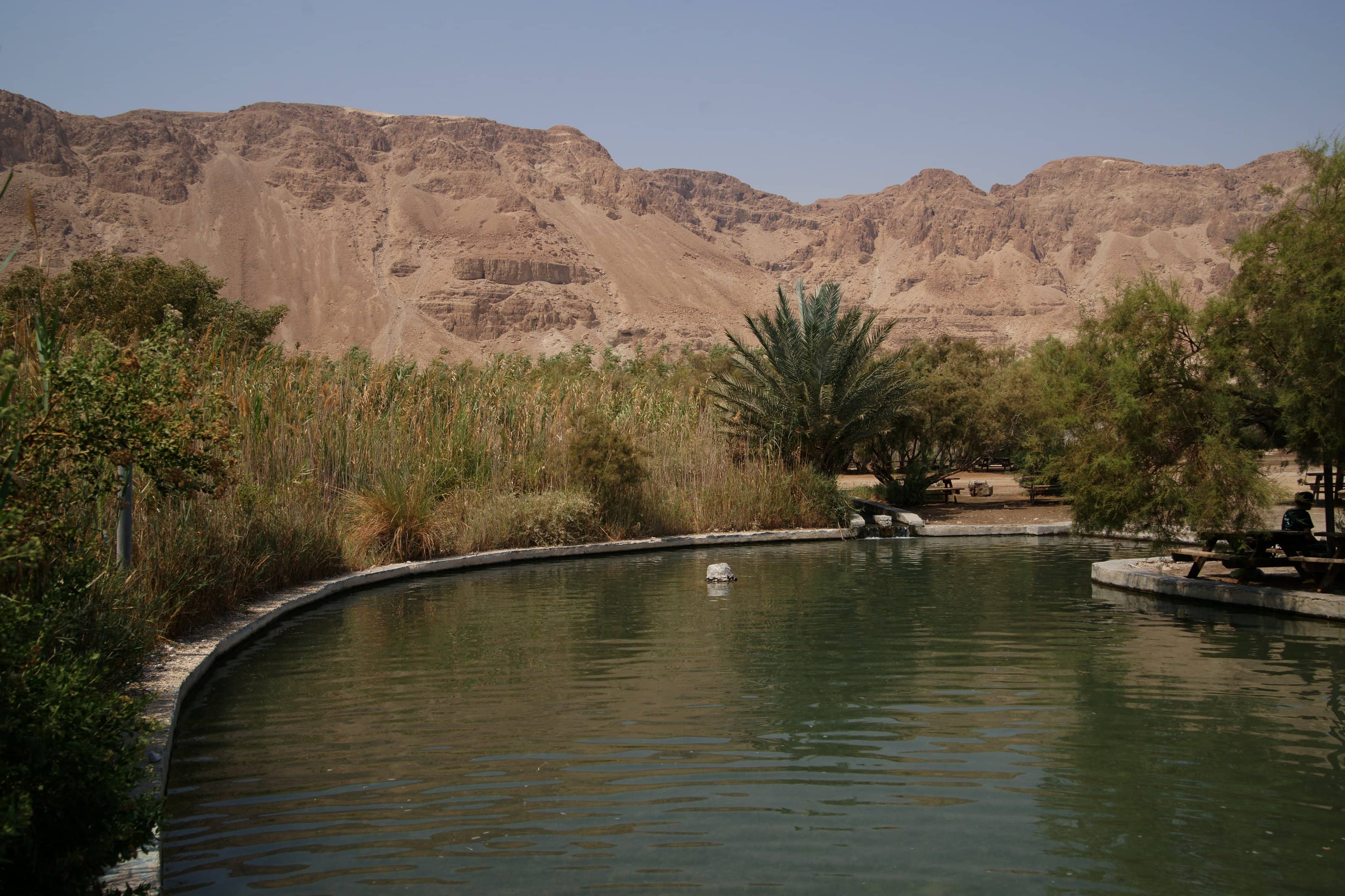 Wadi Exploration